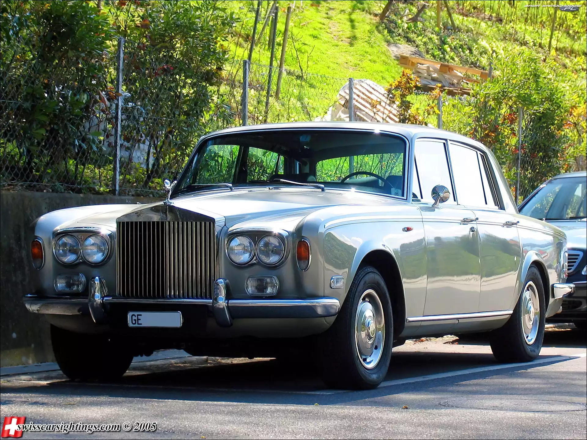 drzewa, Rolls-Royce