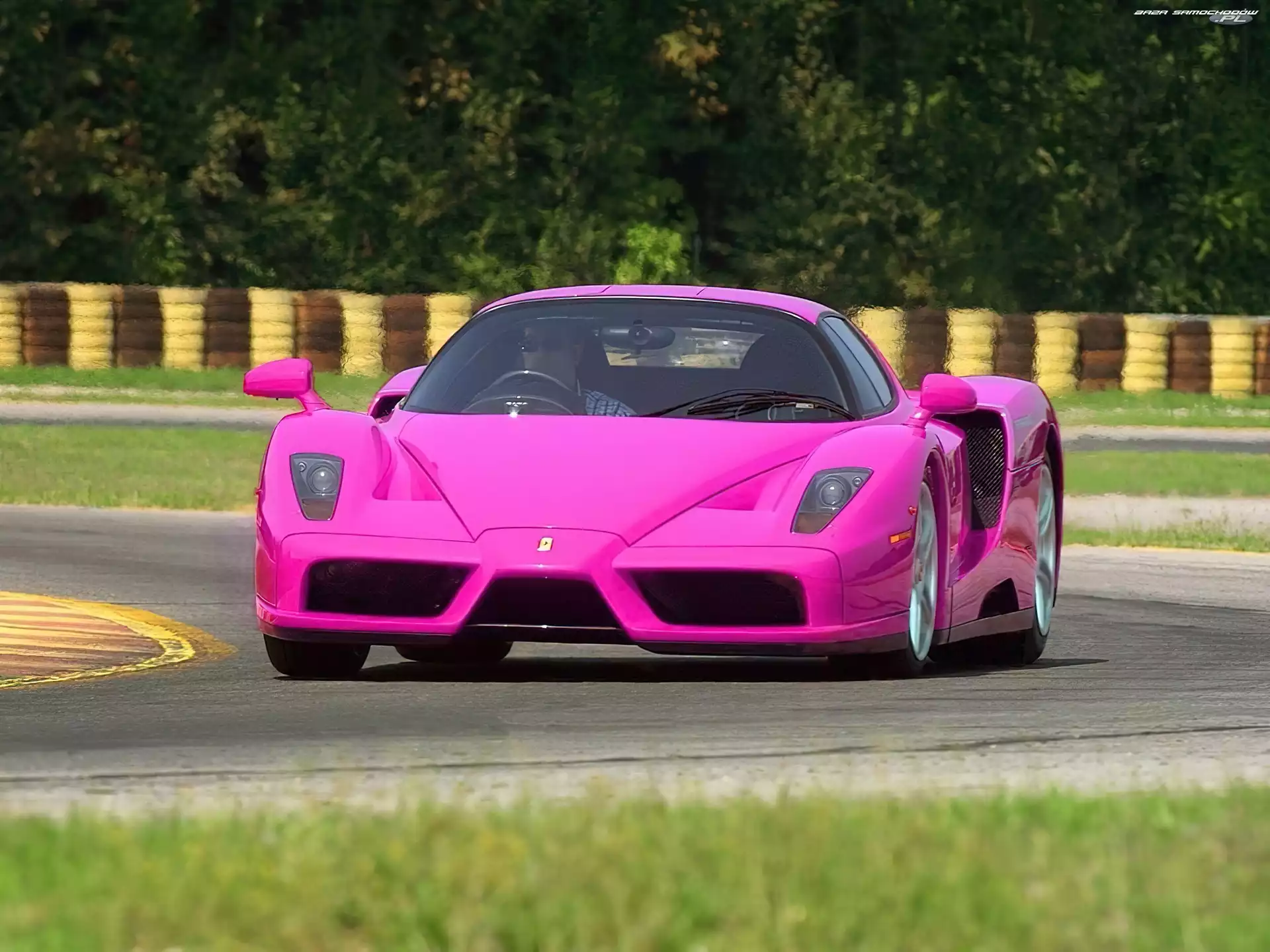 Enzo, Różowe, Ferrari