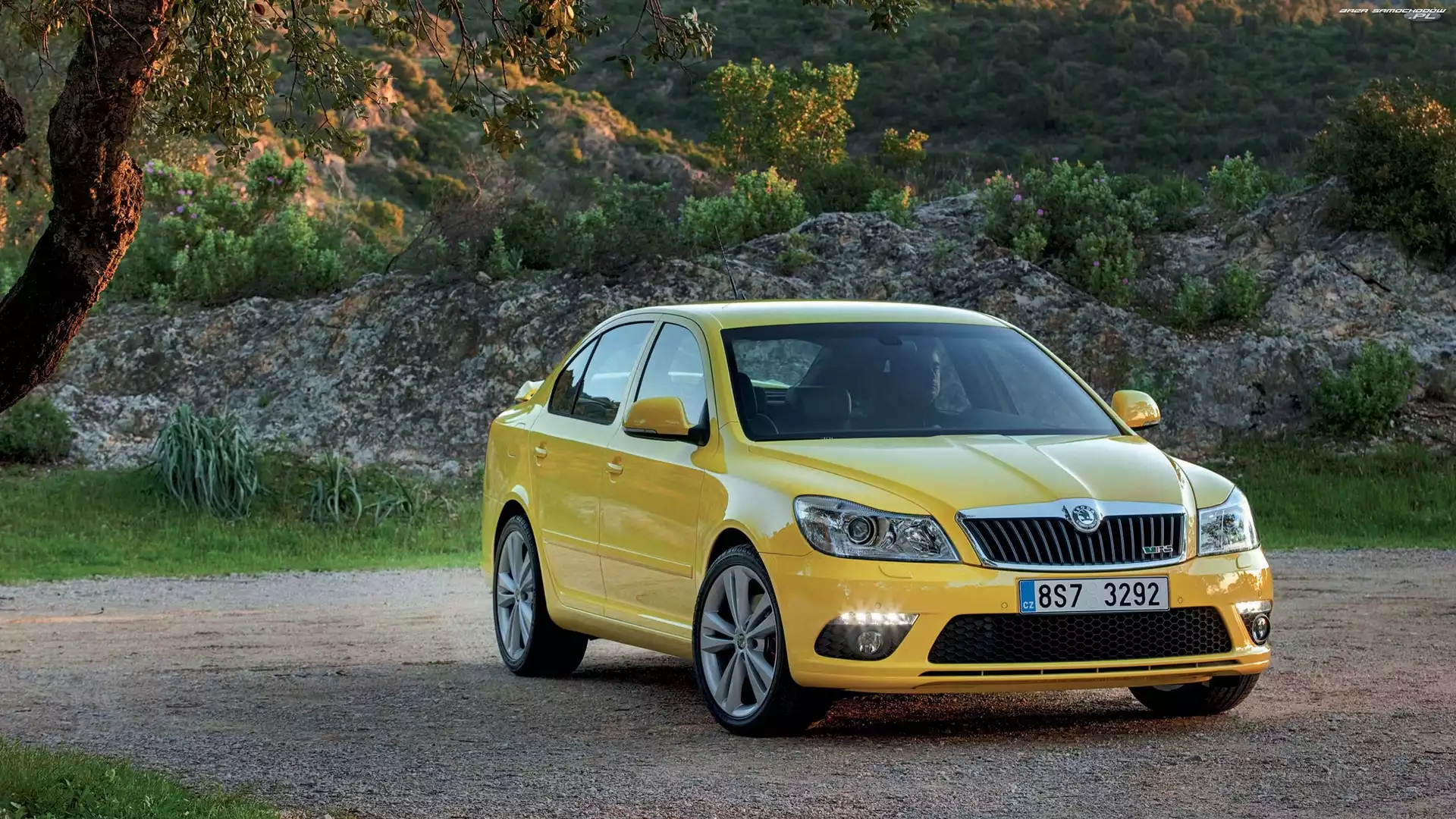 RS, Skoda, Drzewo, Rośliny, Octavia, Skała