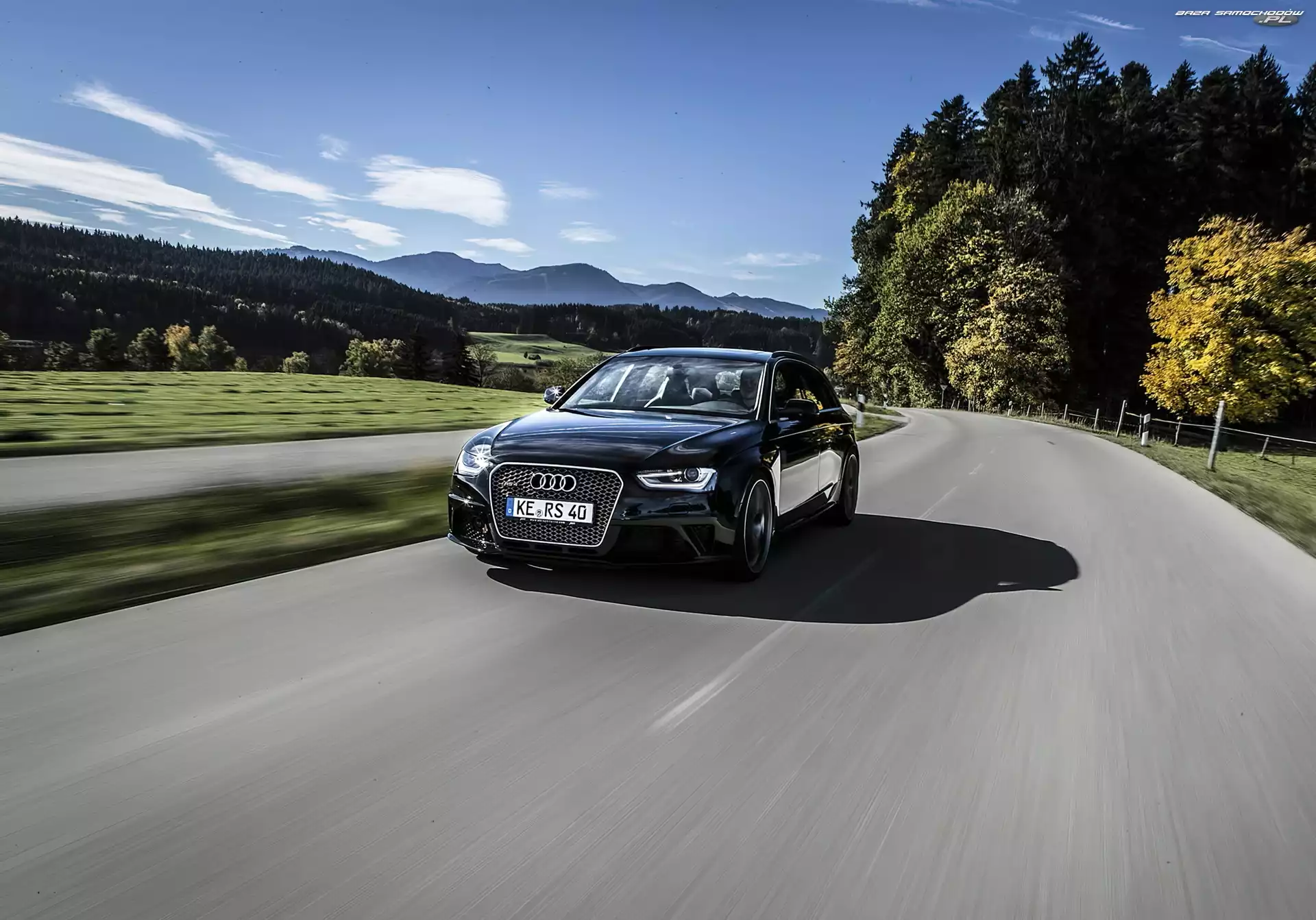 Audi, RS4, Drzewa, Droga