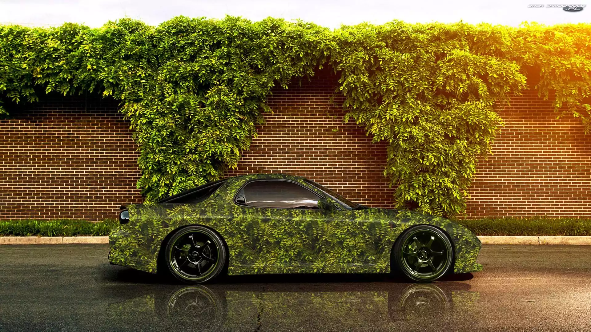 RX-7, Mur, Mazda, Rośliny