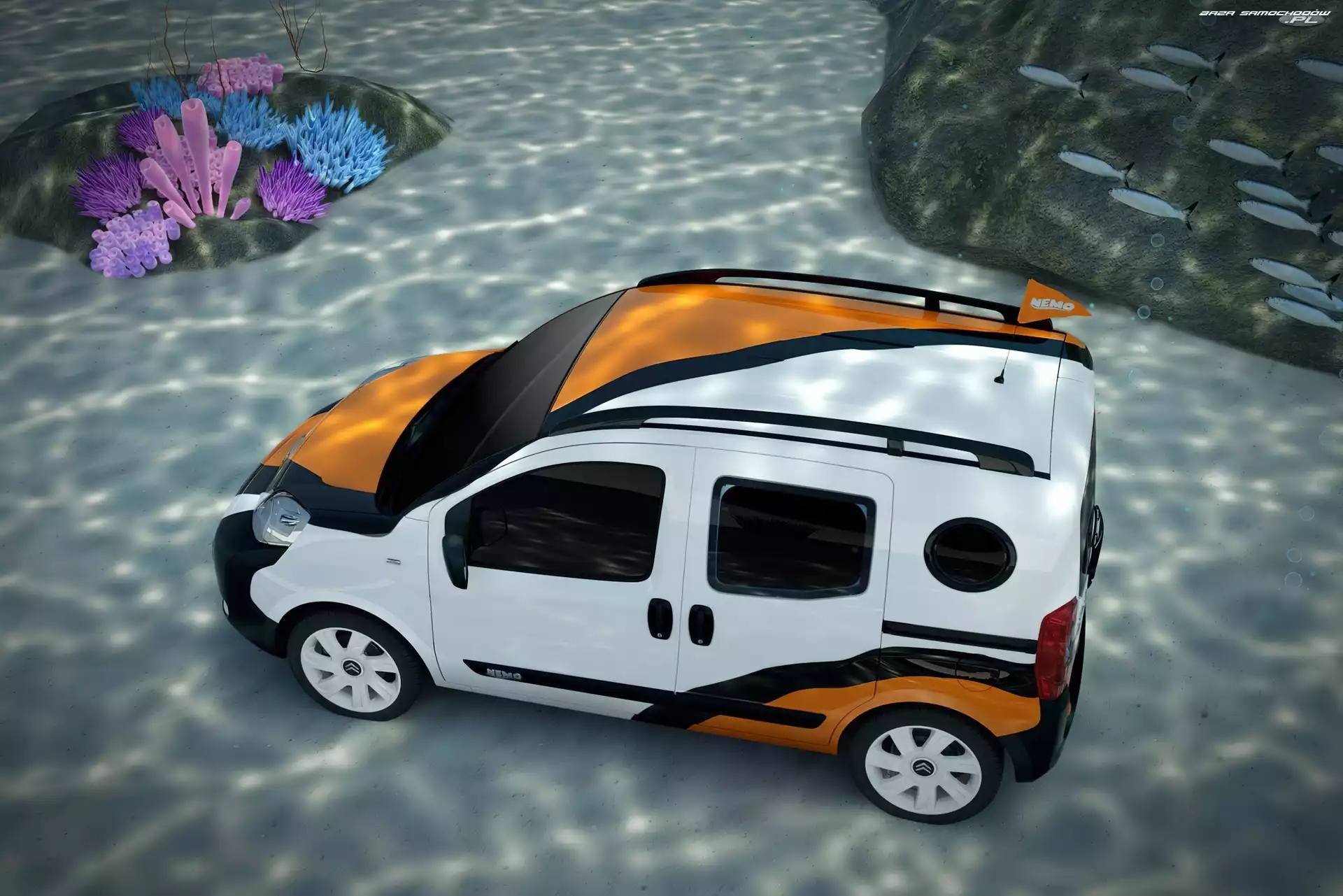 Ryb, Citroen Nemo, Ławica