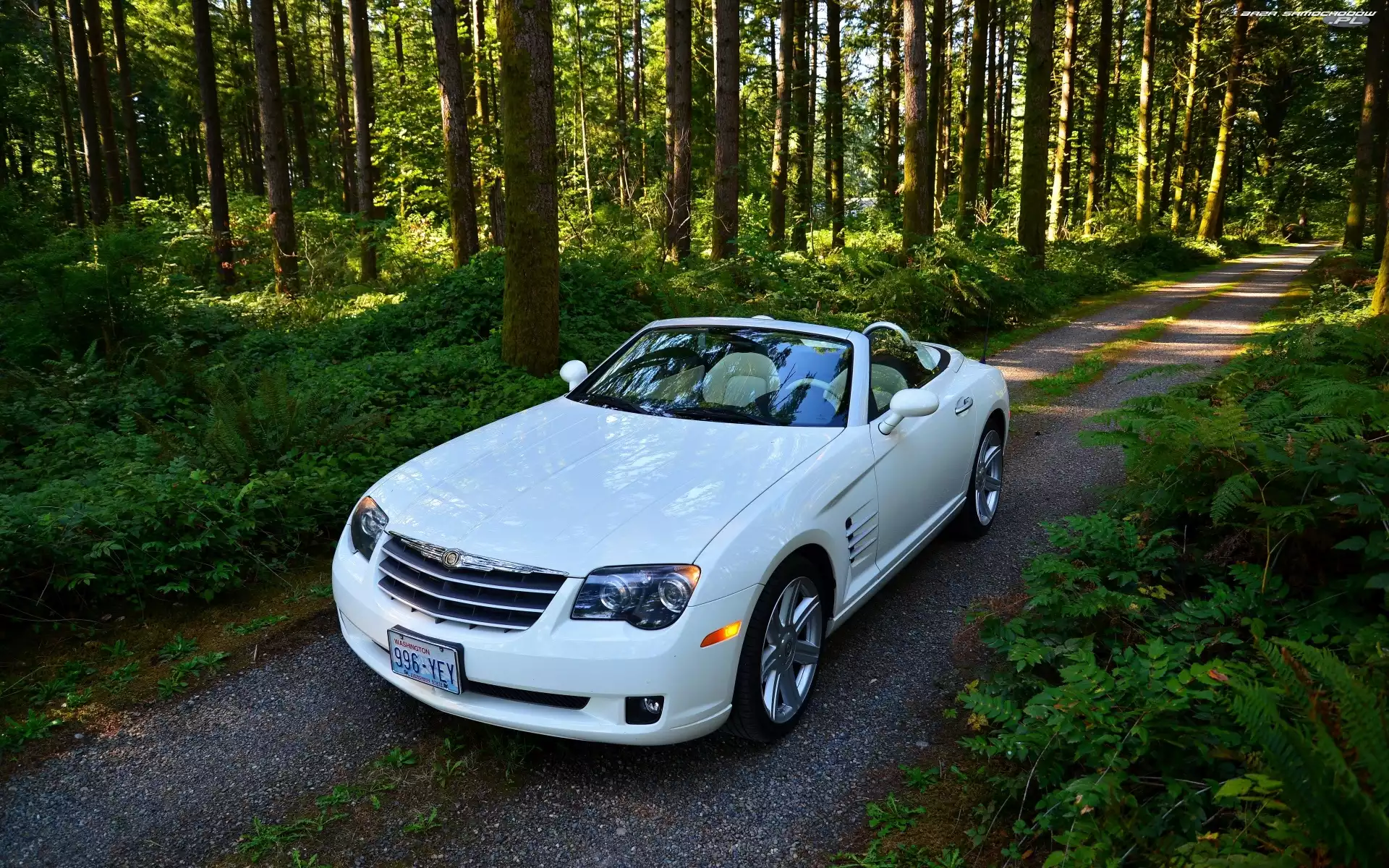 Kabriolet, Samochód, Las, Crossfire, Chrysler, Droga, Drzewa, Biały