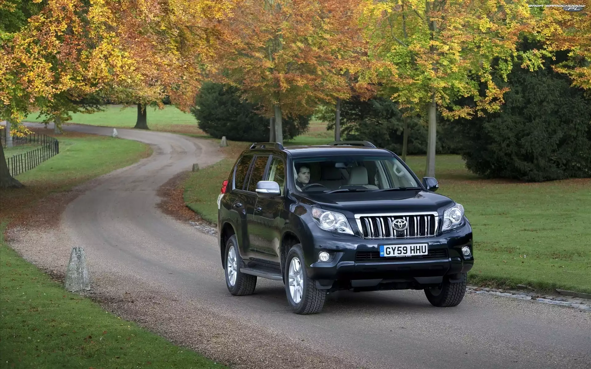 Samochód, Toyota, Land Cruiser
