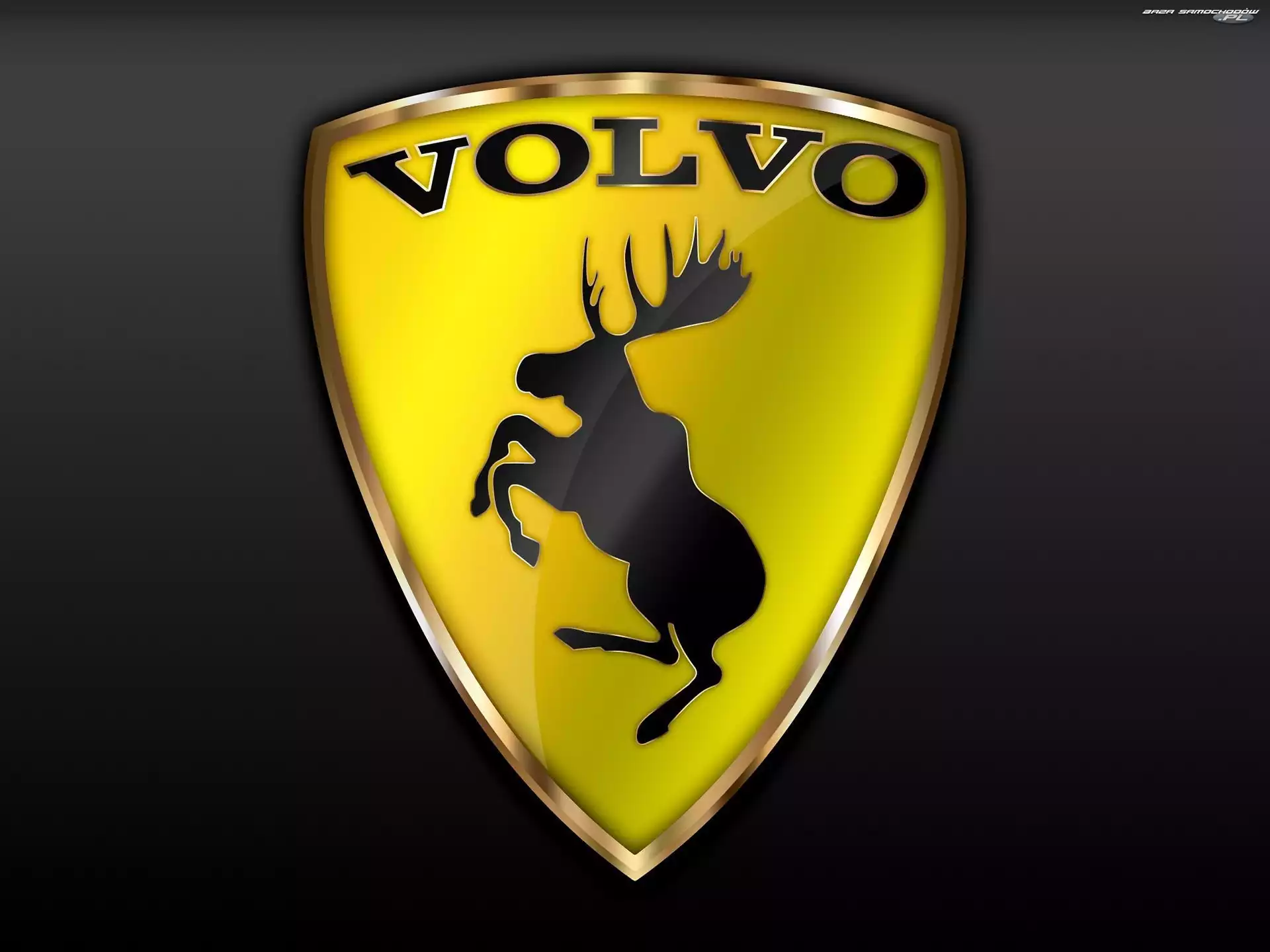 Samochodowy, Volvo, Emblemat, Łoś