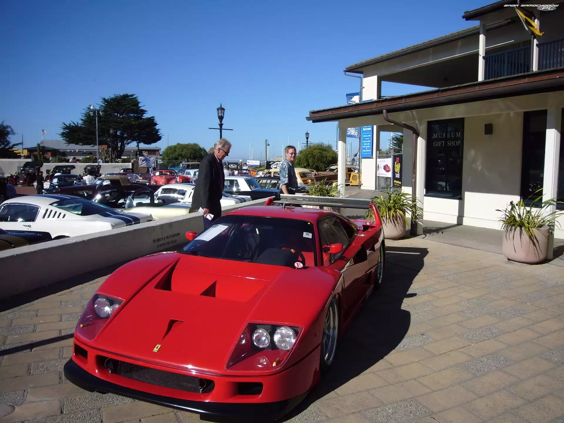 Samochody, Ferrari F 40, Luksusowe