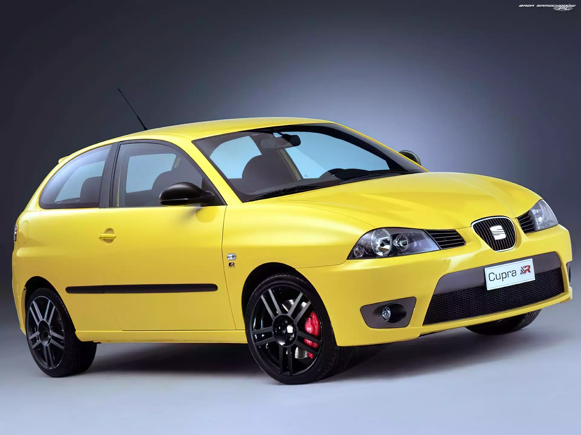 Cupra R, Seat Ibiza