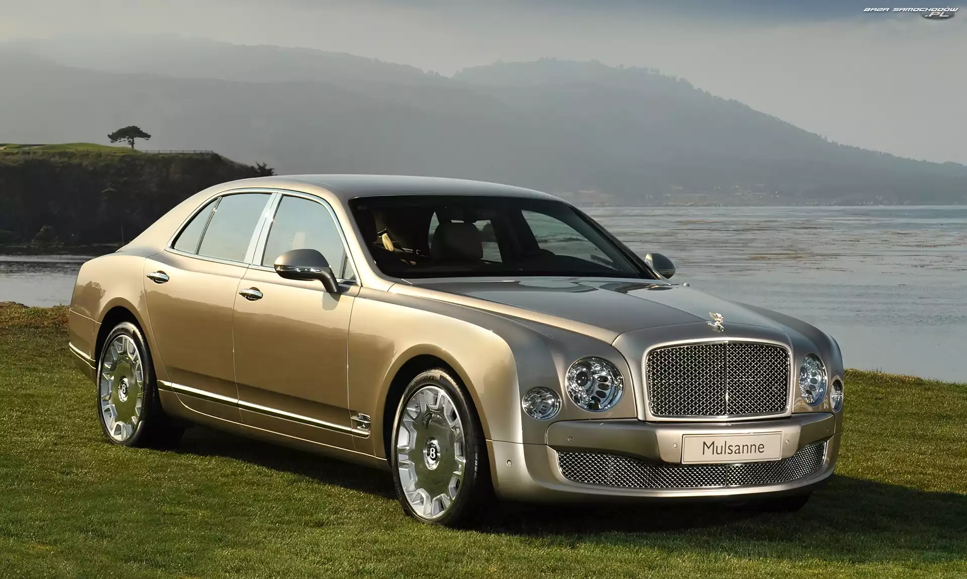 Sedan, Złoty, Bentley Mulsanne