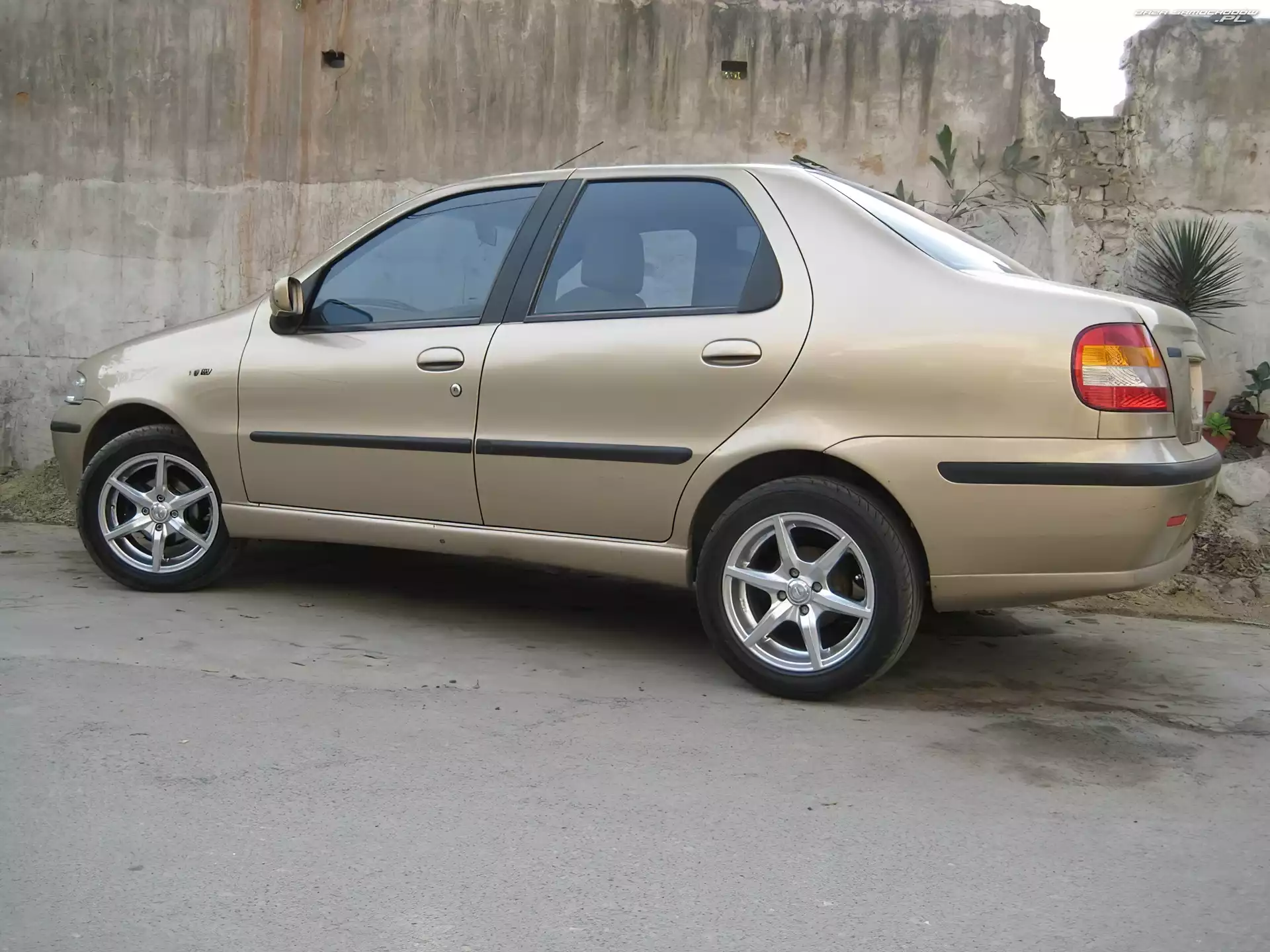 Sedan, Beżowy, Fiat Siena