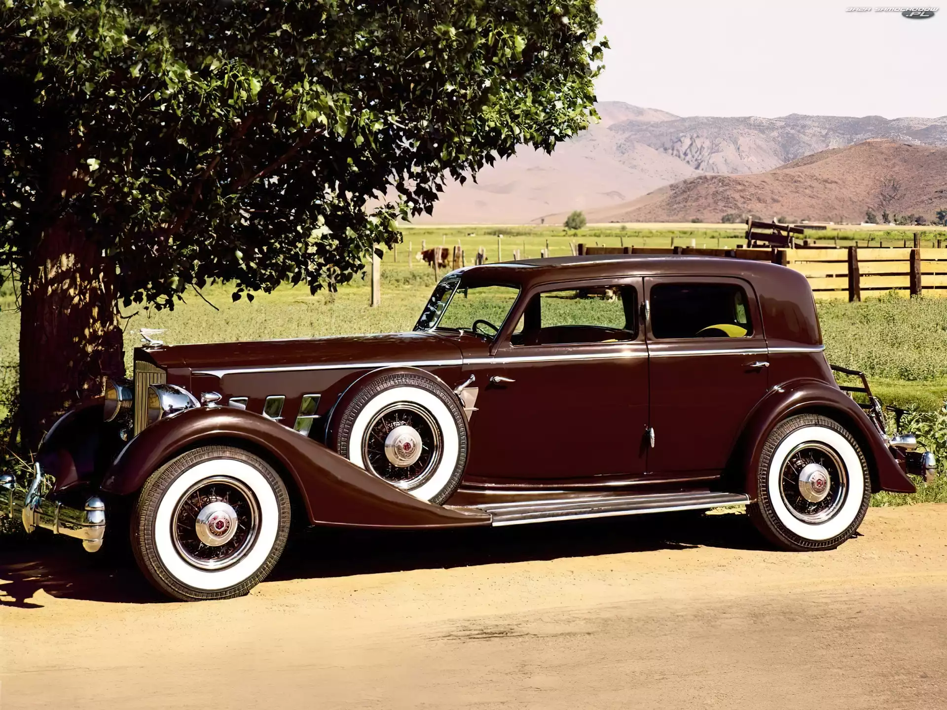 Sedan 160 HP, Samochód, Packard