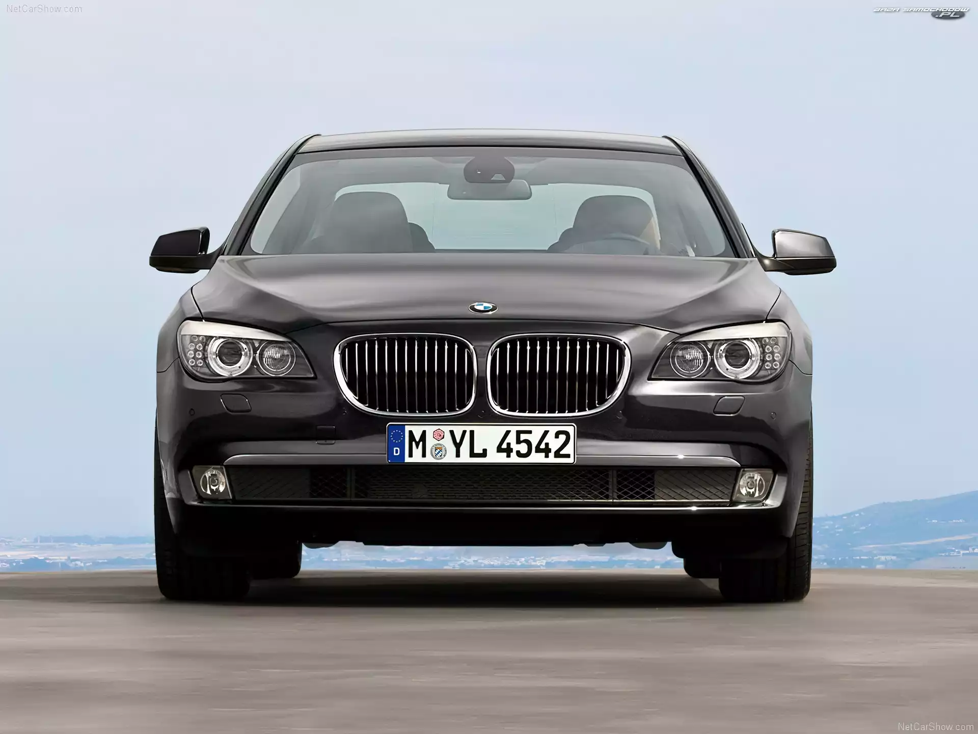 BMW seria 7 F01, Grill, Przód, Atrapa