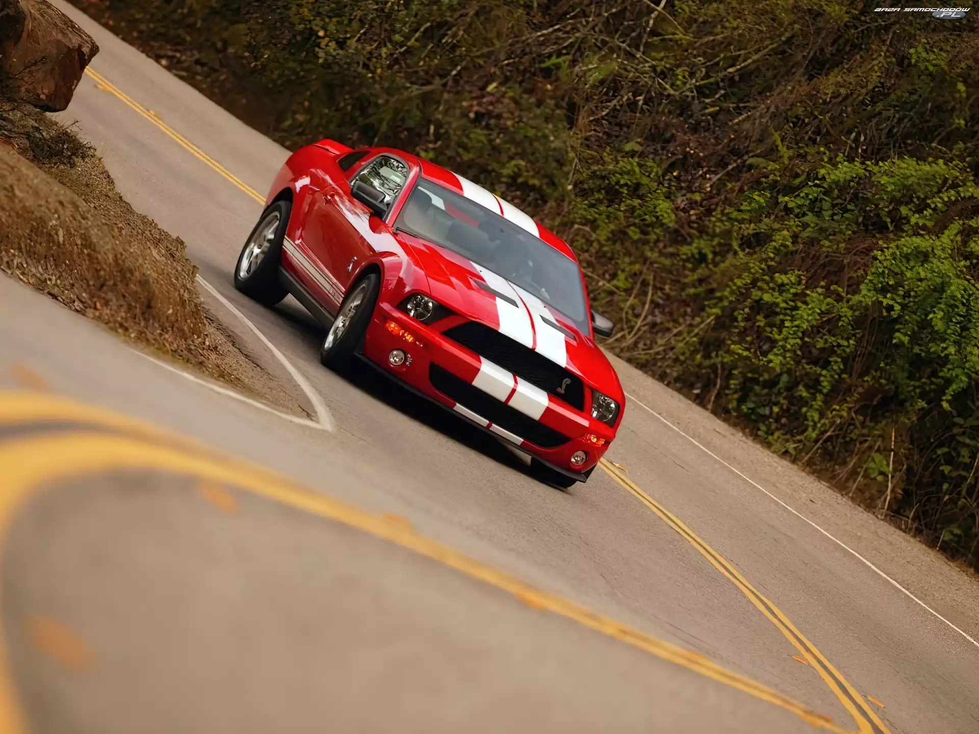 Czerwony, Shelby, GT 500, Ford Mustang