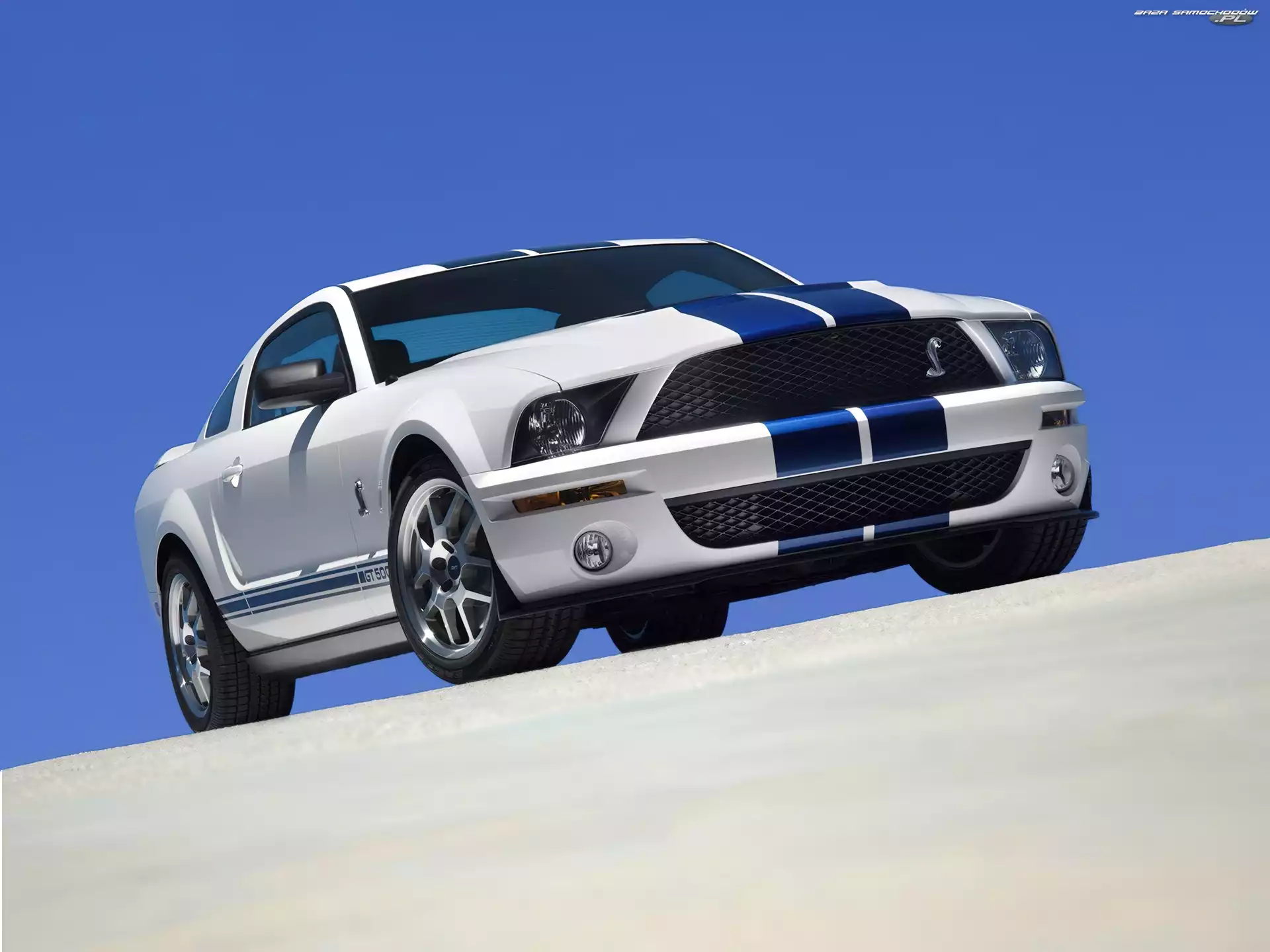 Pakiet, Shelby, GT500, Ford Mustang