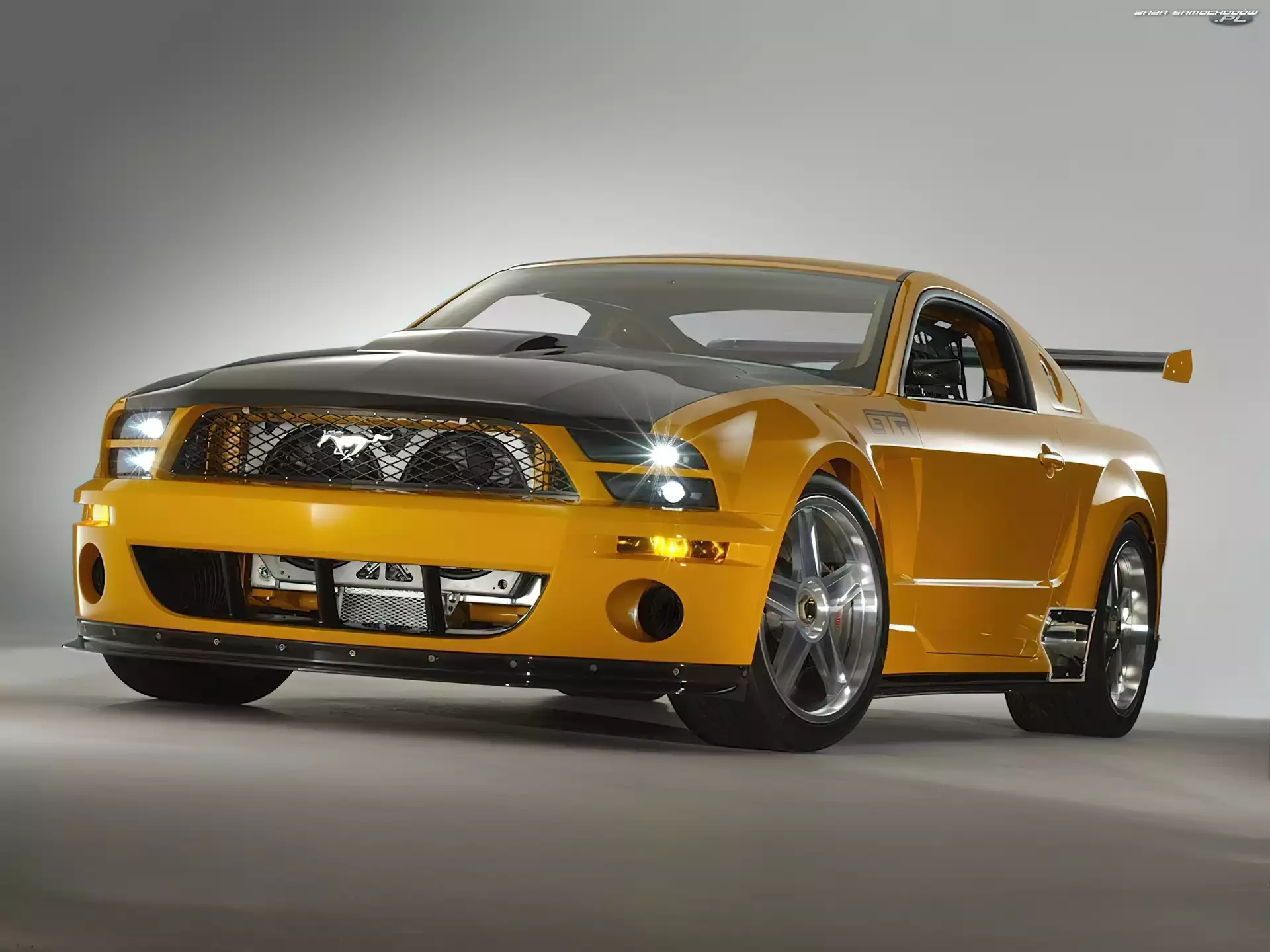GTR, Shelby
