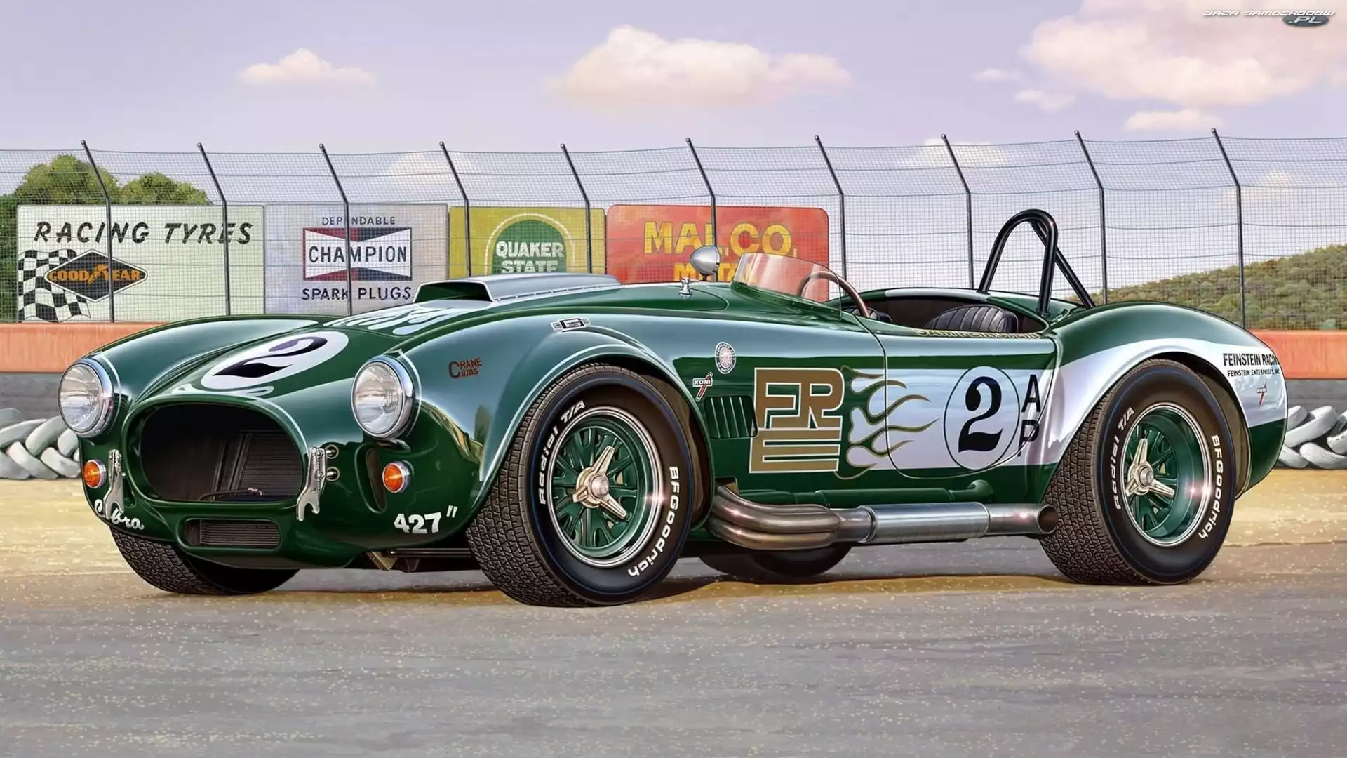 Shelby, 427, Auto, Zielone, Cobra