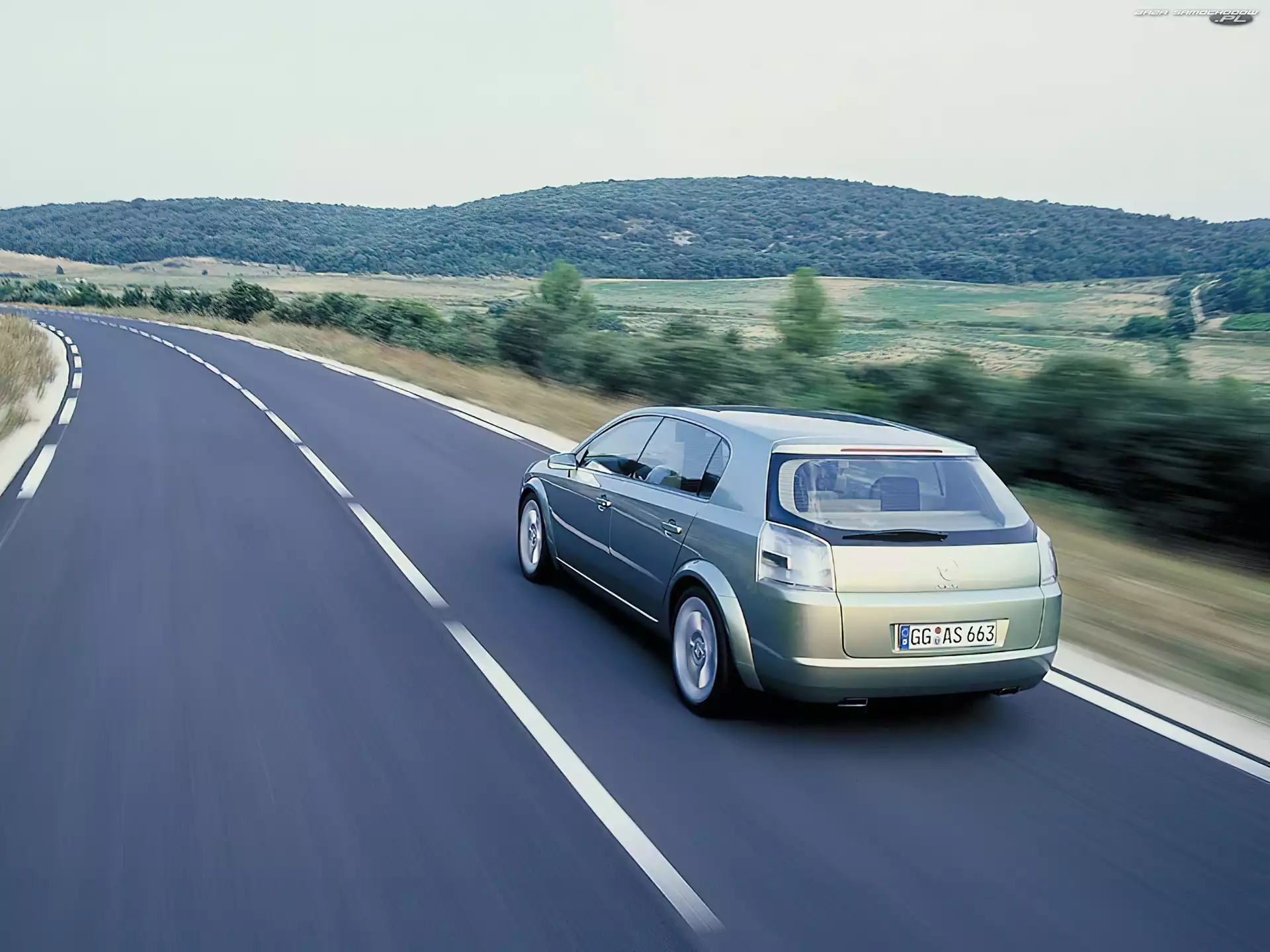 Droga, Opel Signum