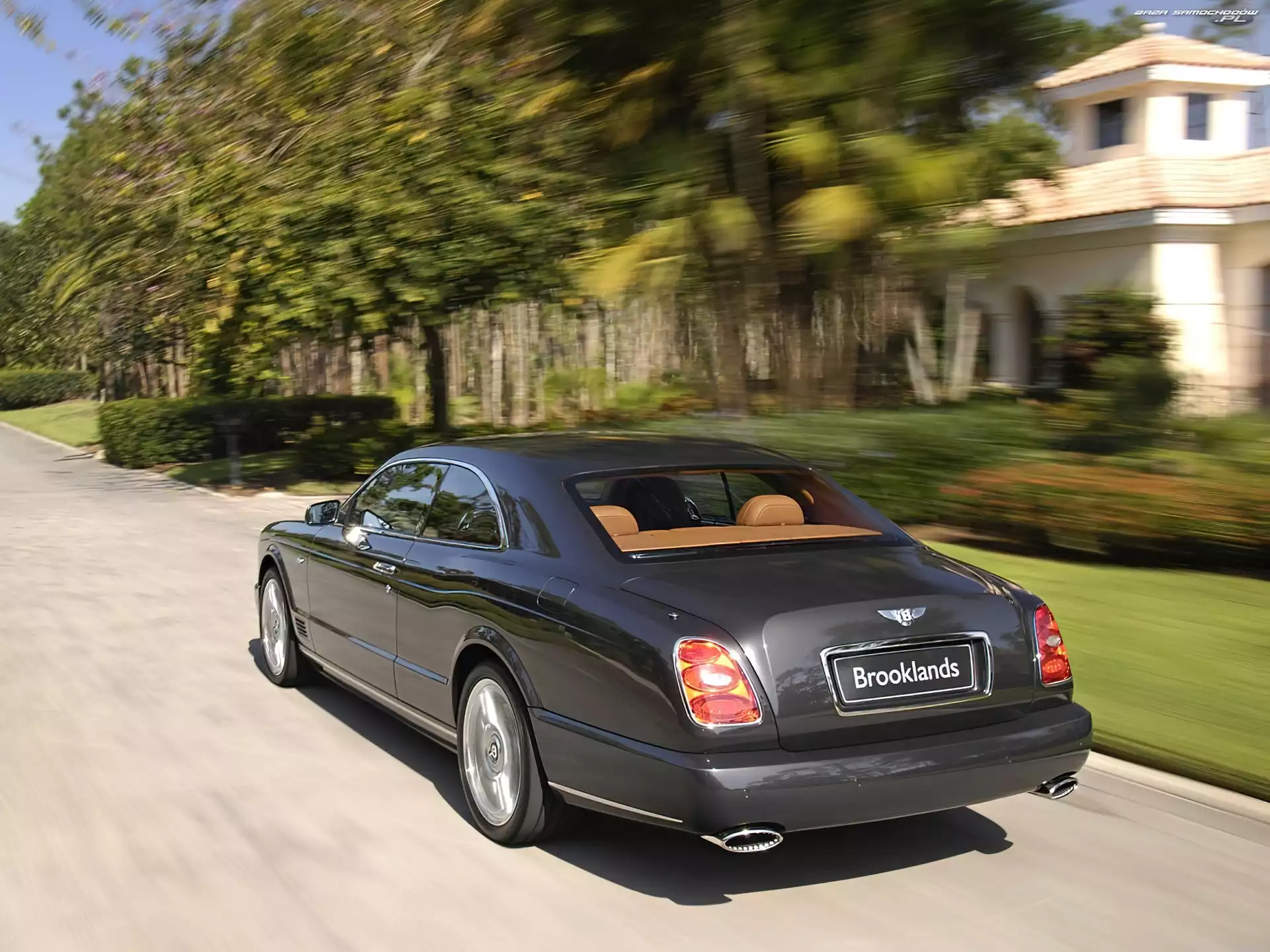 Skóry, Bentley Brooklands, Łososiowe
