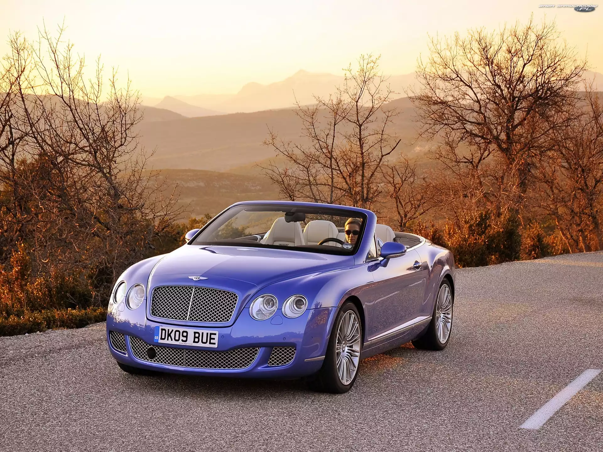 Skóry, Bentley Continental GTC, Jasne