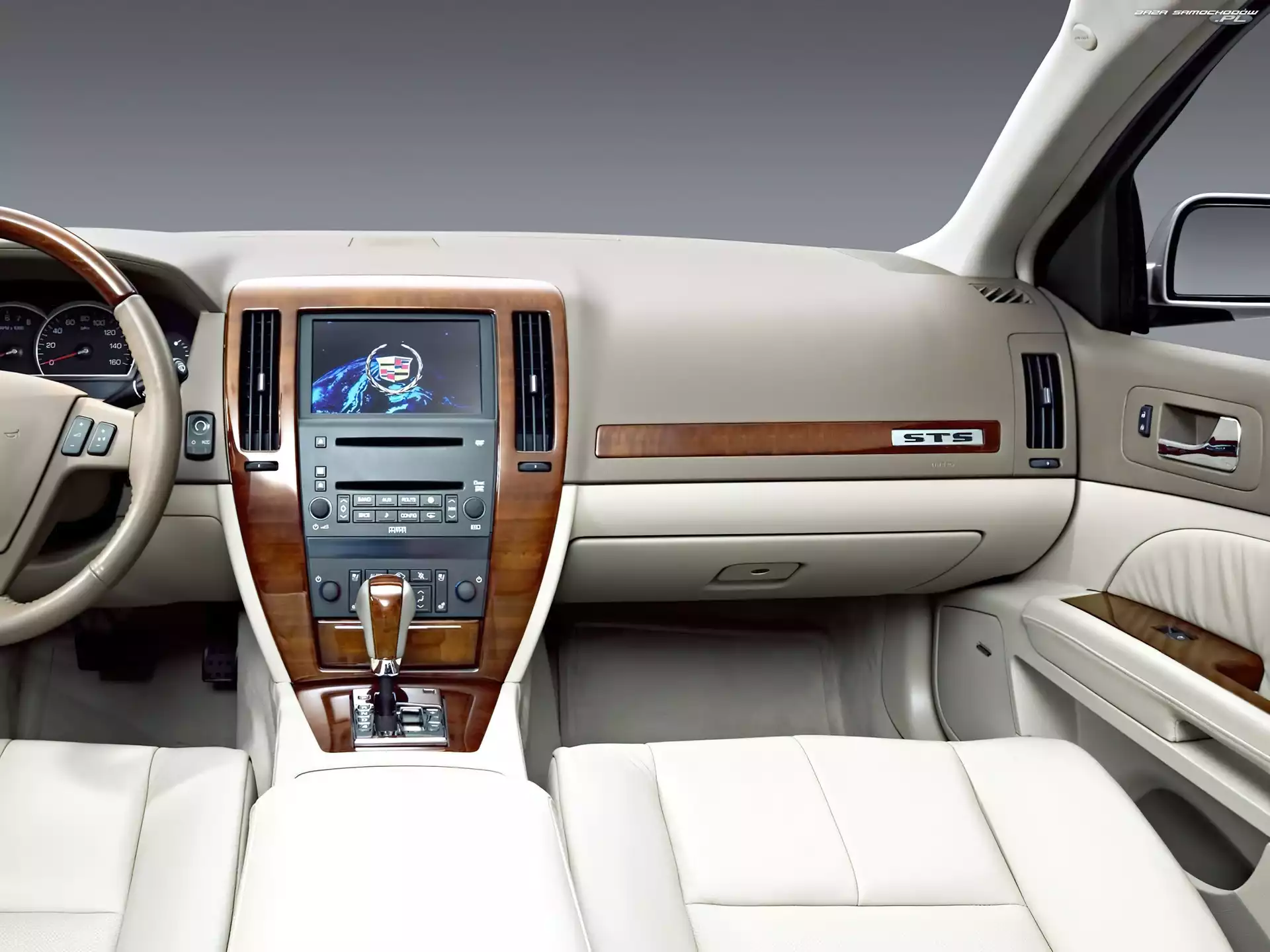 Skóry, Cadillac STS, Jasne