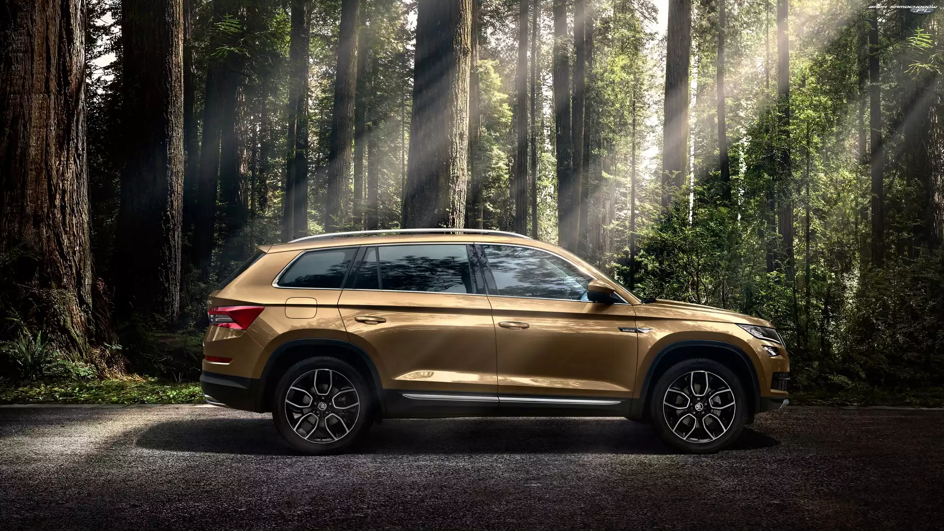 Promienie słońca, Drzewa, 2016, Skoda Kodiaq, Las