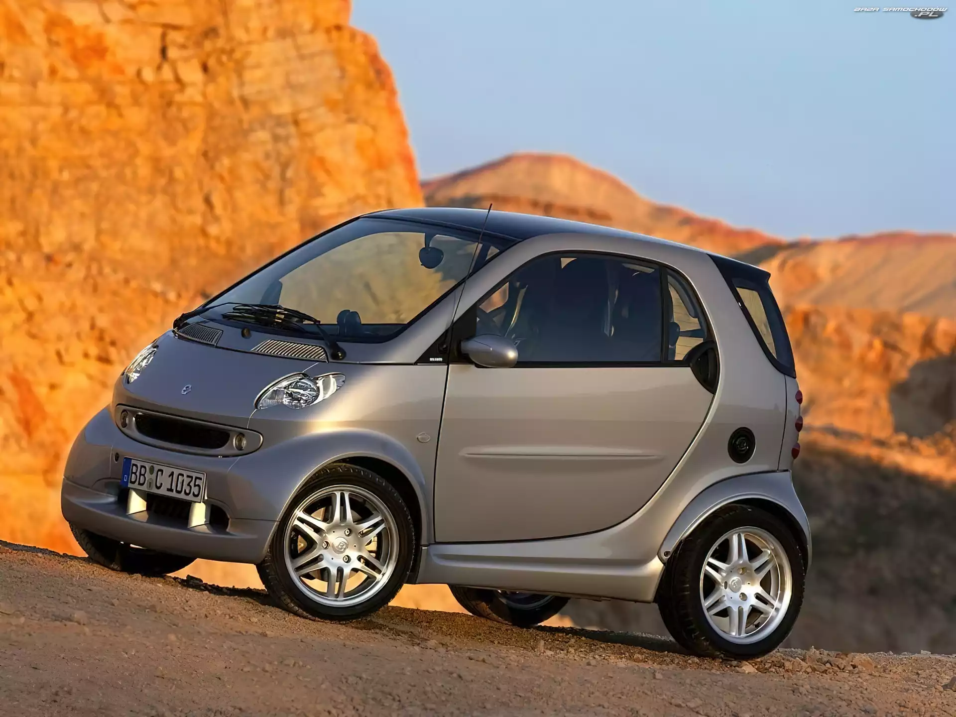Smart Fortwo, Szary