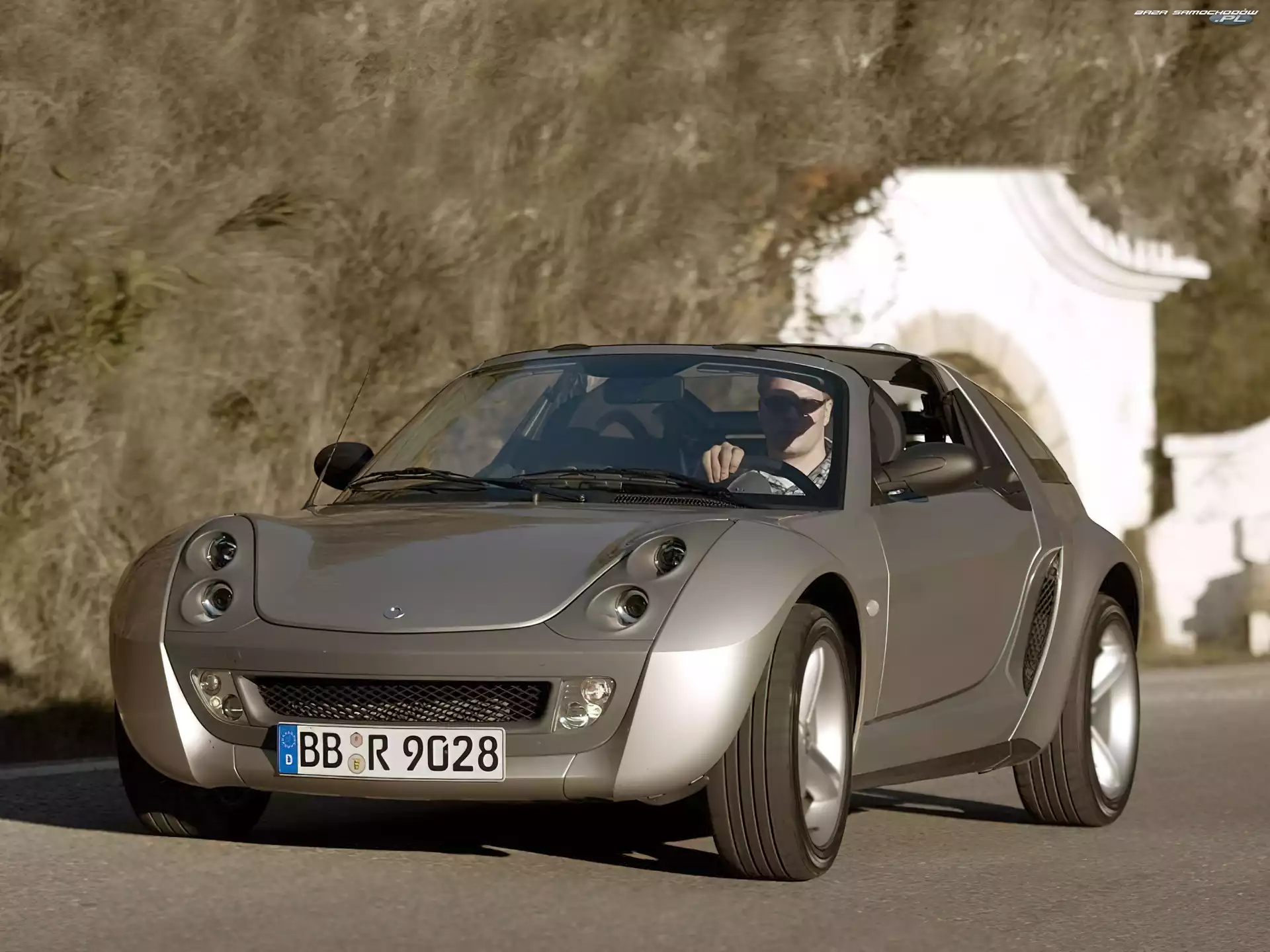 Smart Roadster, Szary