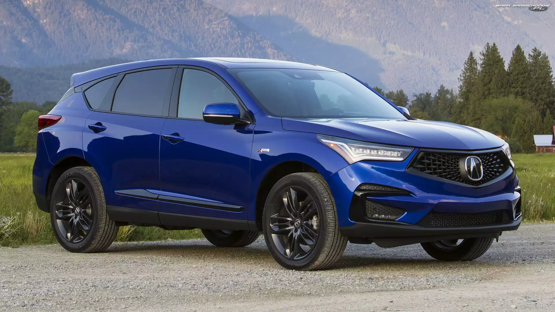 Acura RDX A-Spec