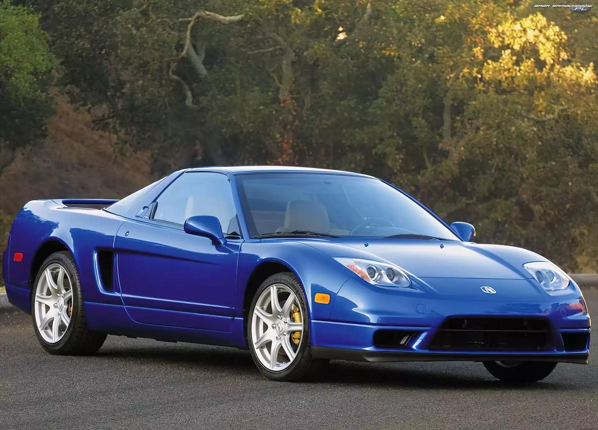 Spojler, Niebieska, Acura NSX