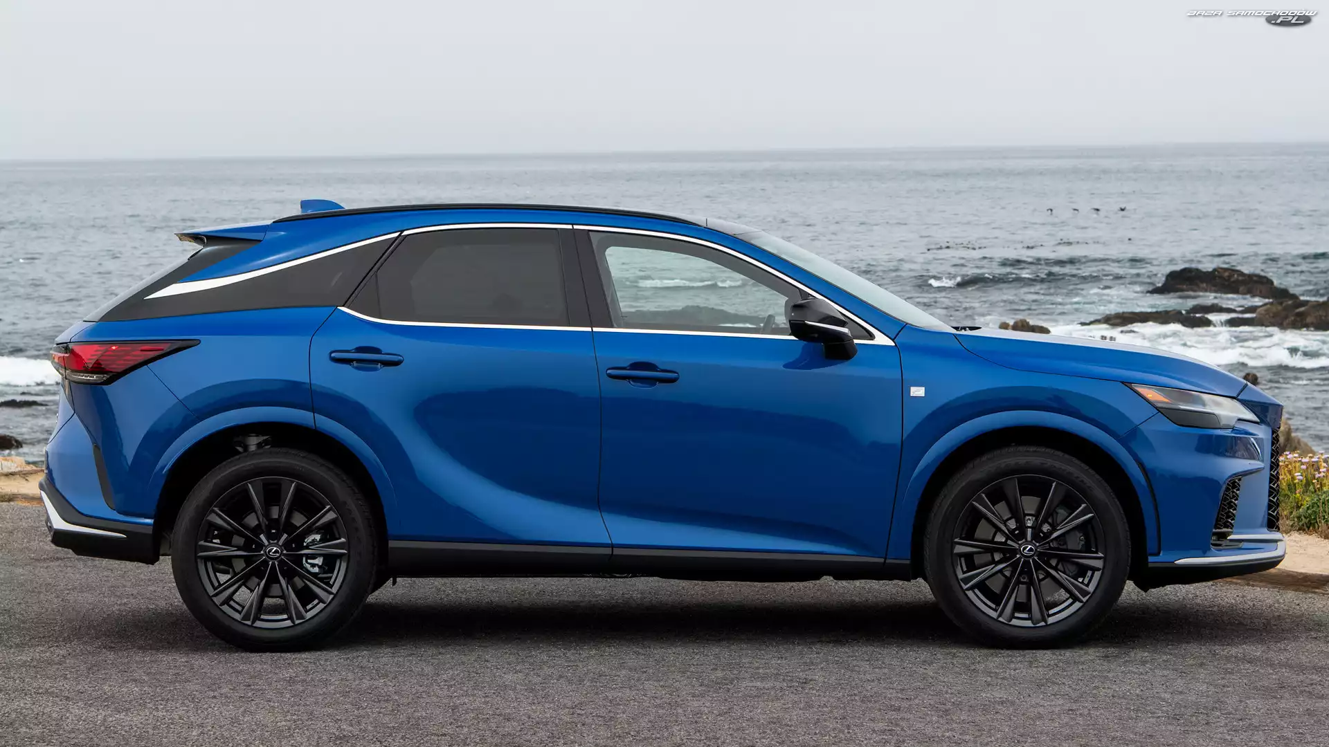 Lexus RX F Sport