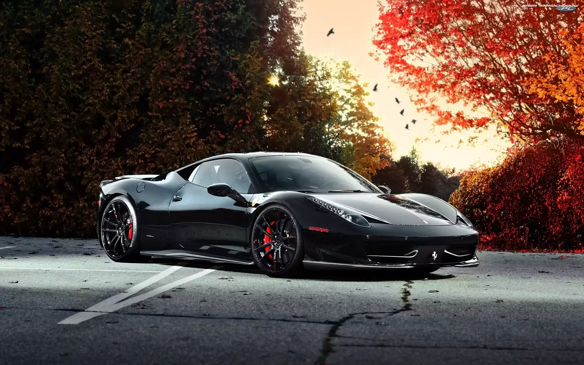 458 Italia, Czarny, Jesień, Ferrari, Samochód, Droga, Drzewa, Sportowy