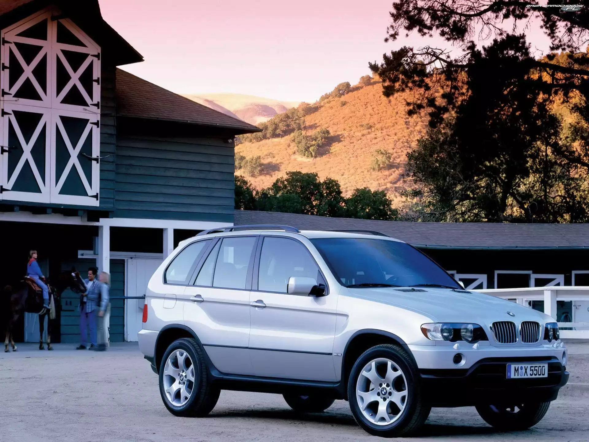 Stajnia, Srebrny, BMW X5