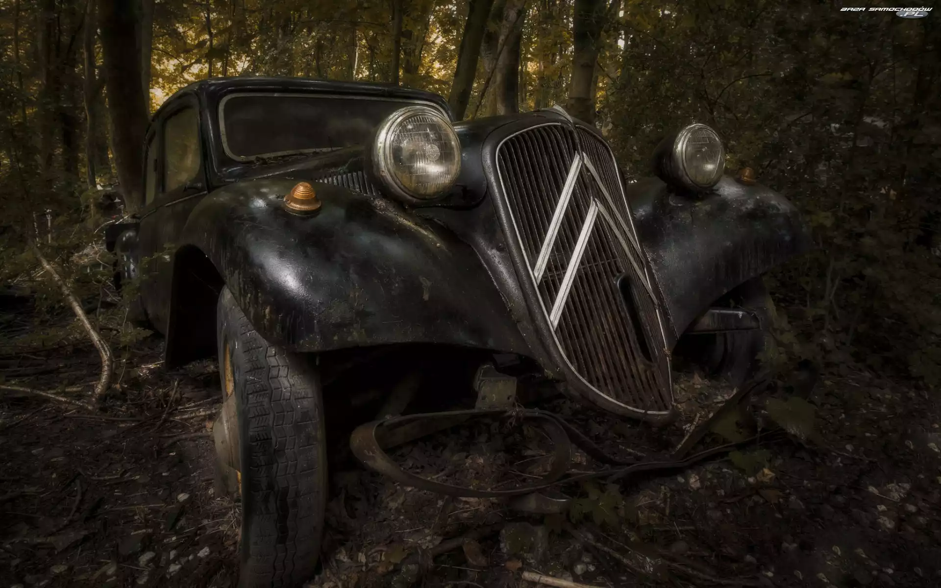 Citroen, Stary, Samochód