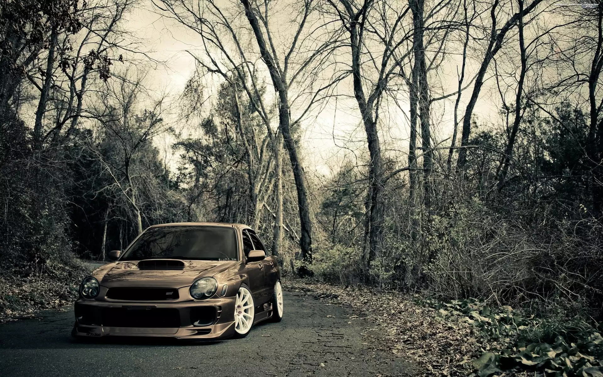 Subaru Impreza, Drzewa, Samochód, Droga