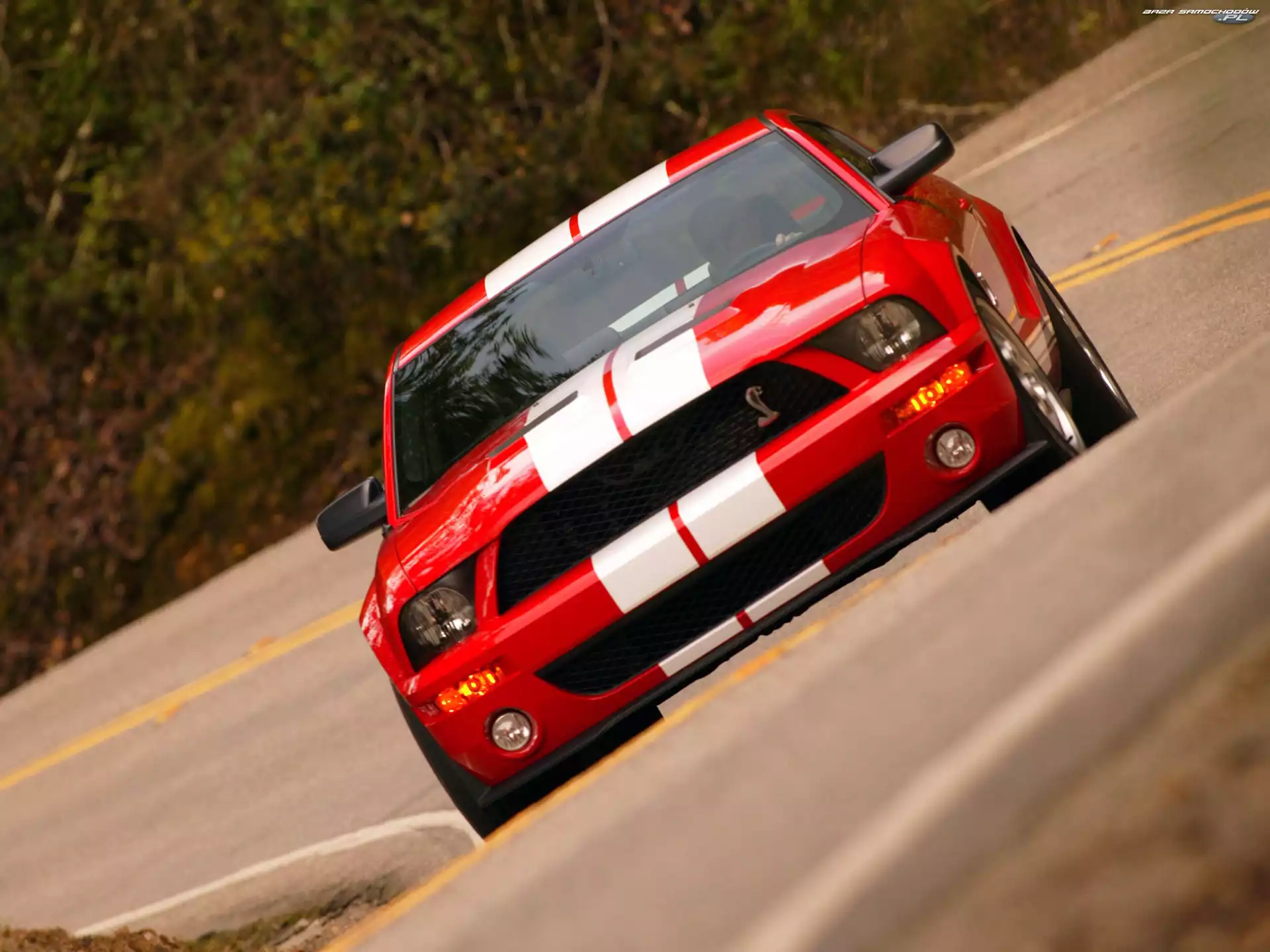 Super, Shelby, Ford Mustang