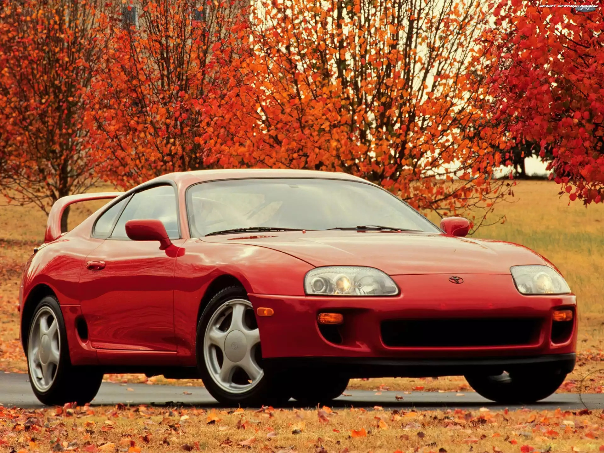 Seria, Toyota Supra