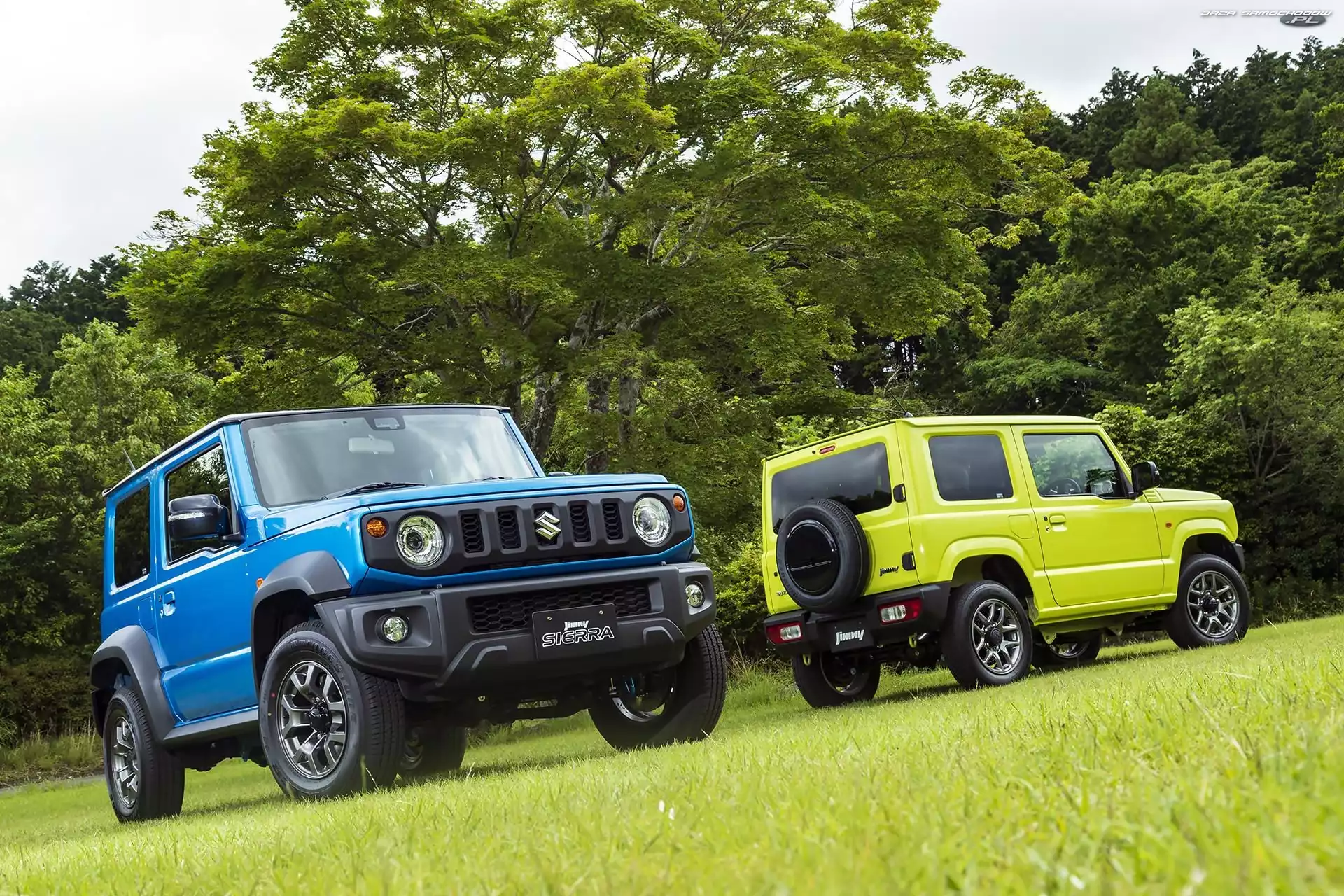 Suzuki Jimny, Drzewa, Dwa, Wzgórze