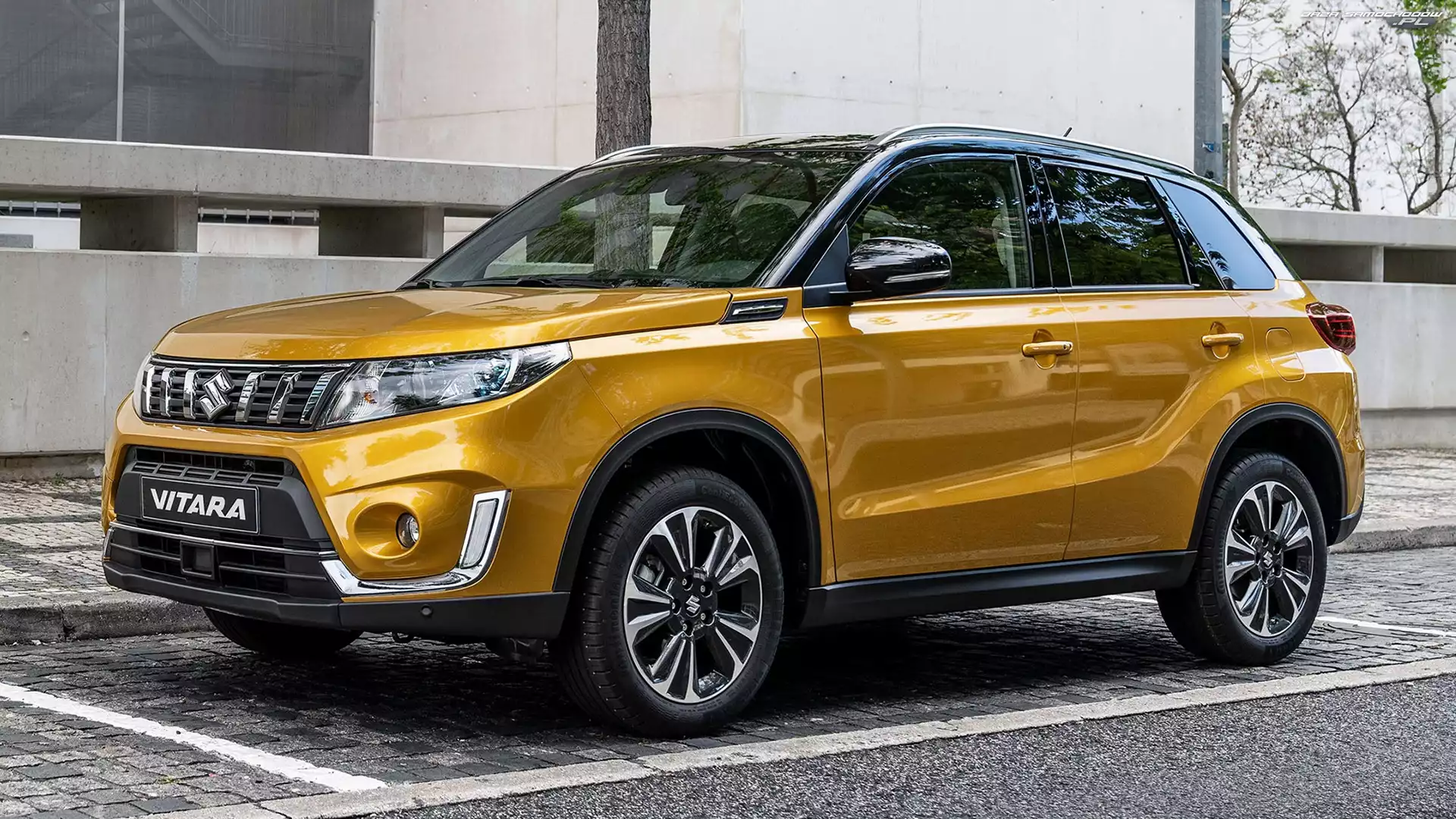 Żółty, Suzuki Vitara
