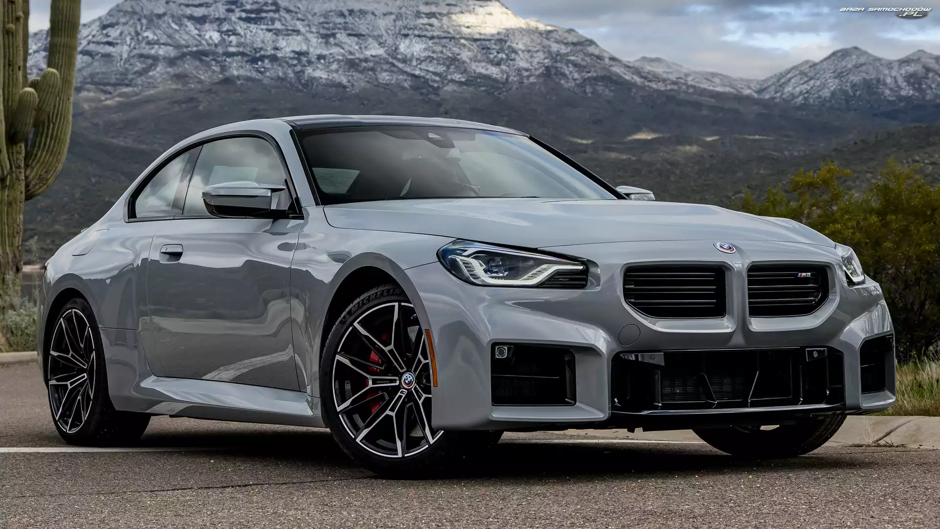 BMW M2 Coupe, Szare