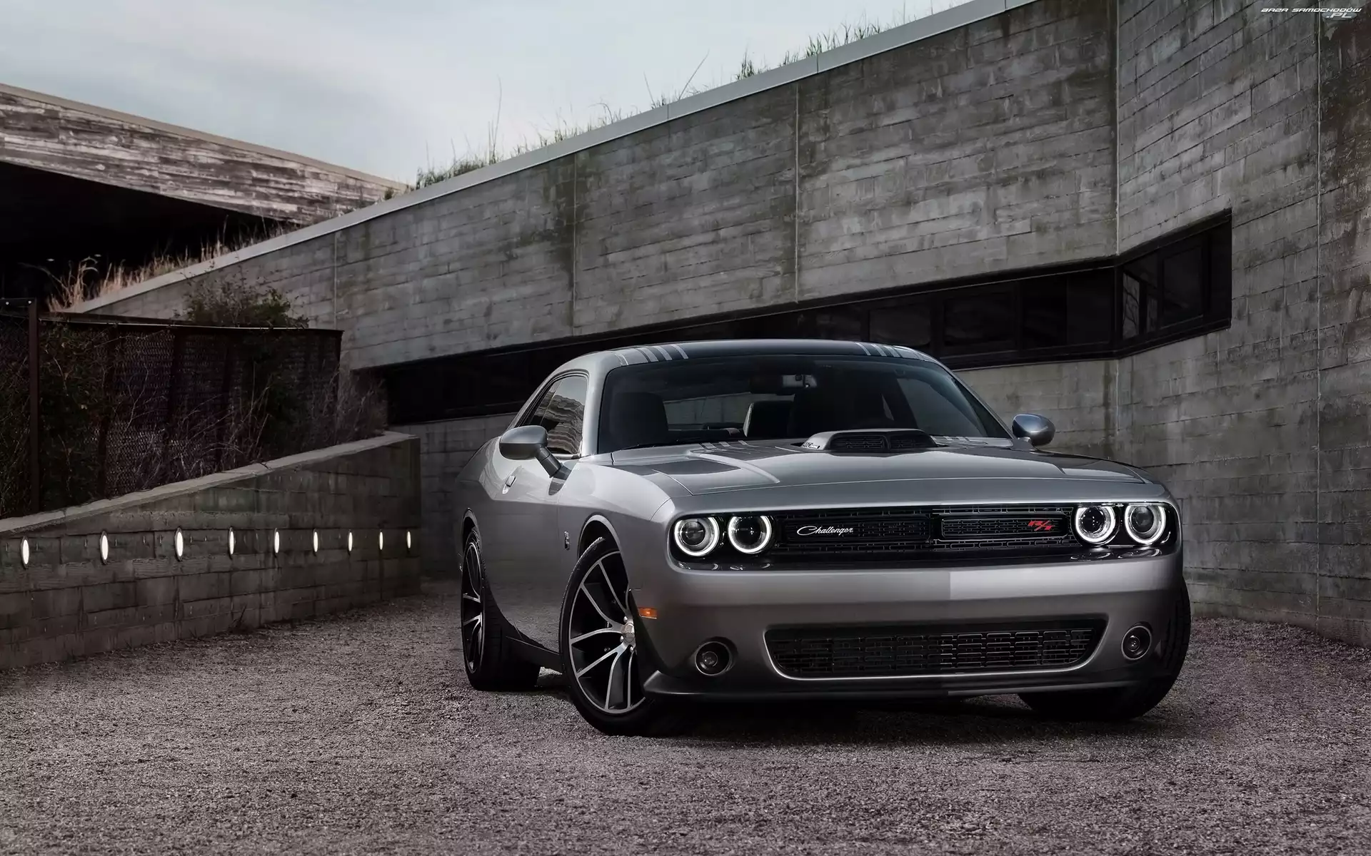 Challenger, Szary, Dodge