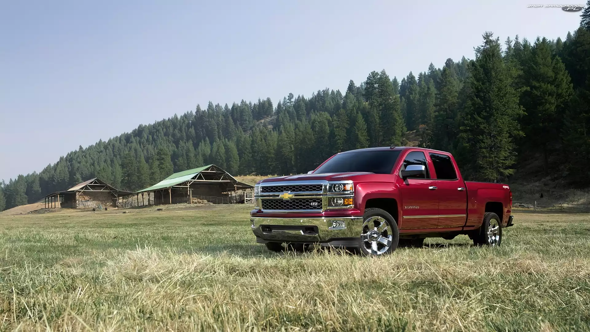 Szopa, Las Łąka, Silverado, Chevrolet, GM