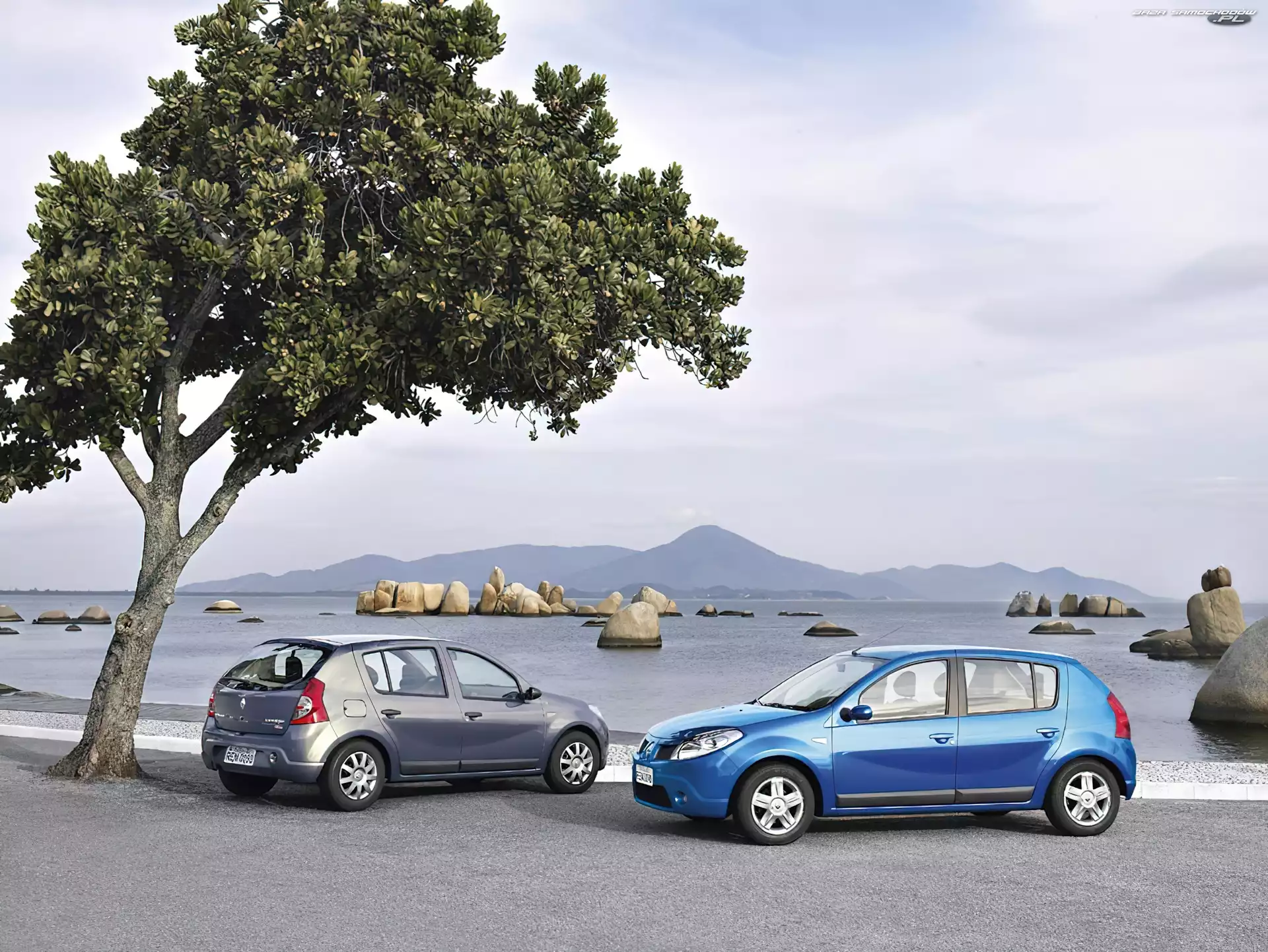 Sztuki, Dacia Sandero, Dwie