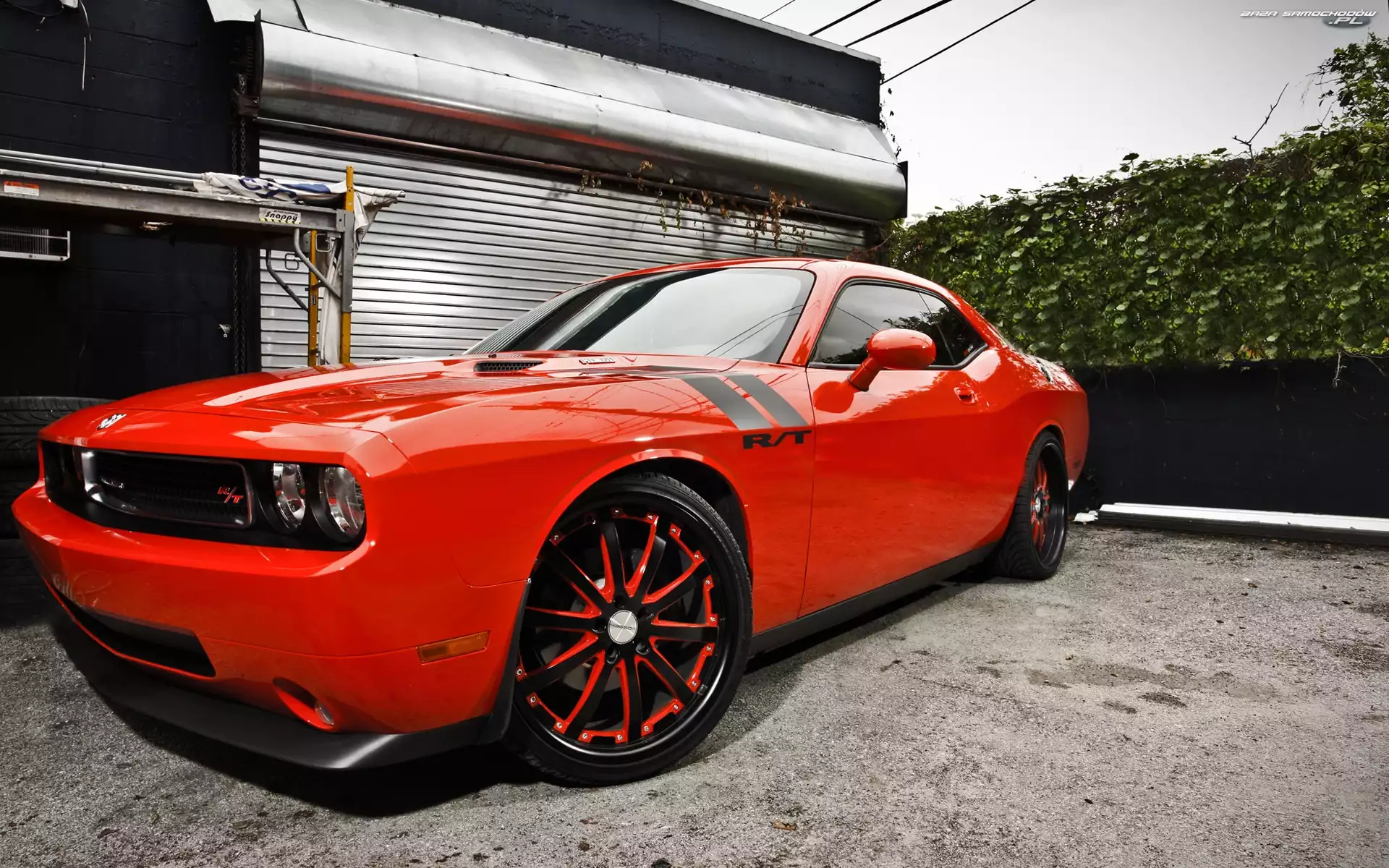 R/T, Dodge, Felgi, Duże, Challenger, Pomarańczowy