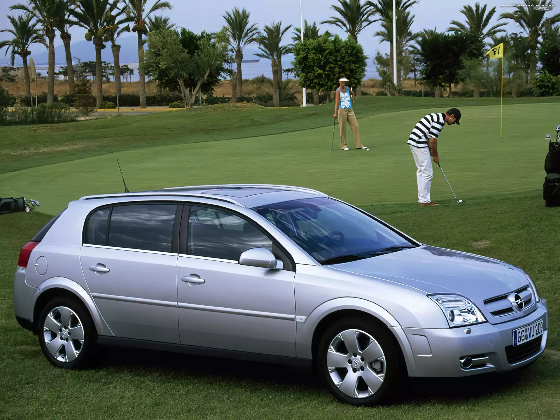 Trawa, Opel Signum, Golf