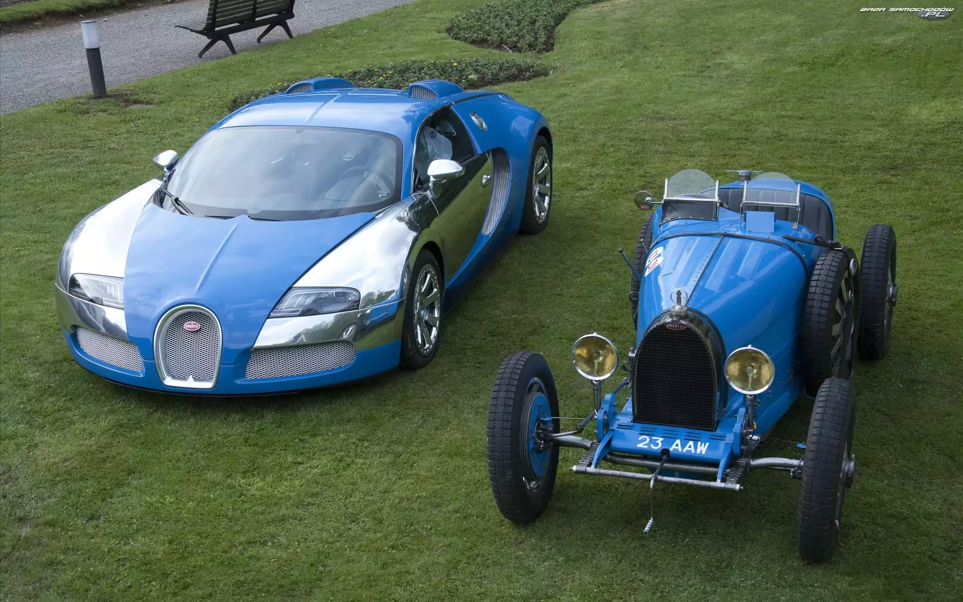 Trawnik, Bugatti Veyron, Bugatti T40