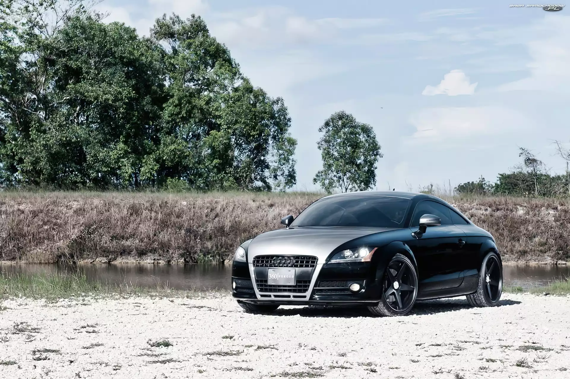 Audi TT Forged