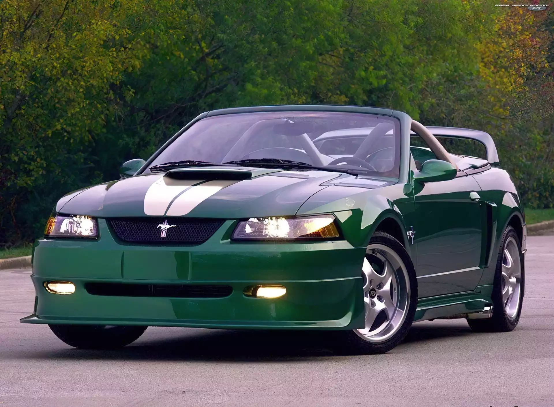 Tuning, Ford Mustang, Kabriolet
