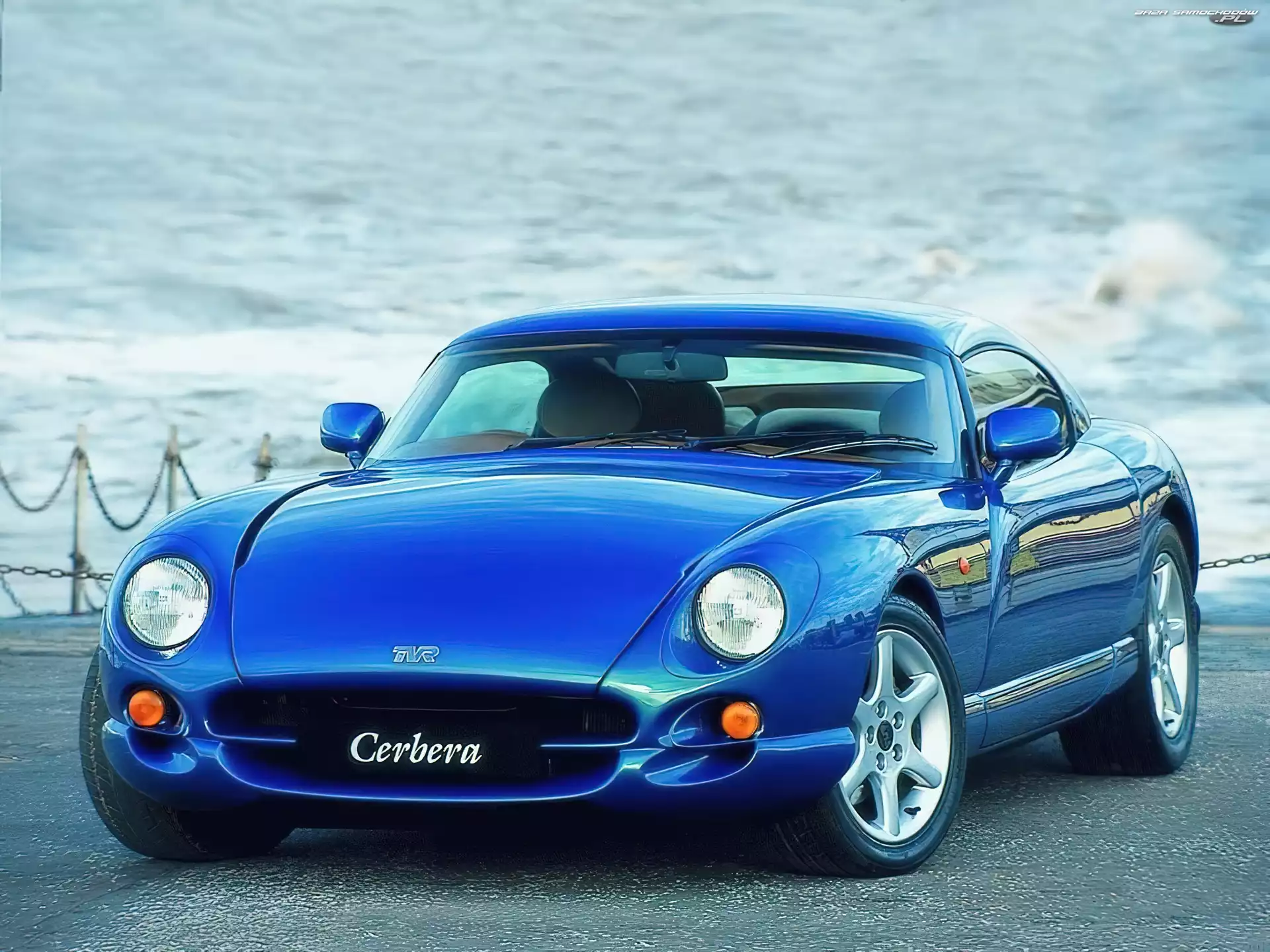 Carbera, TVR