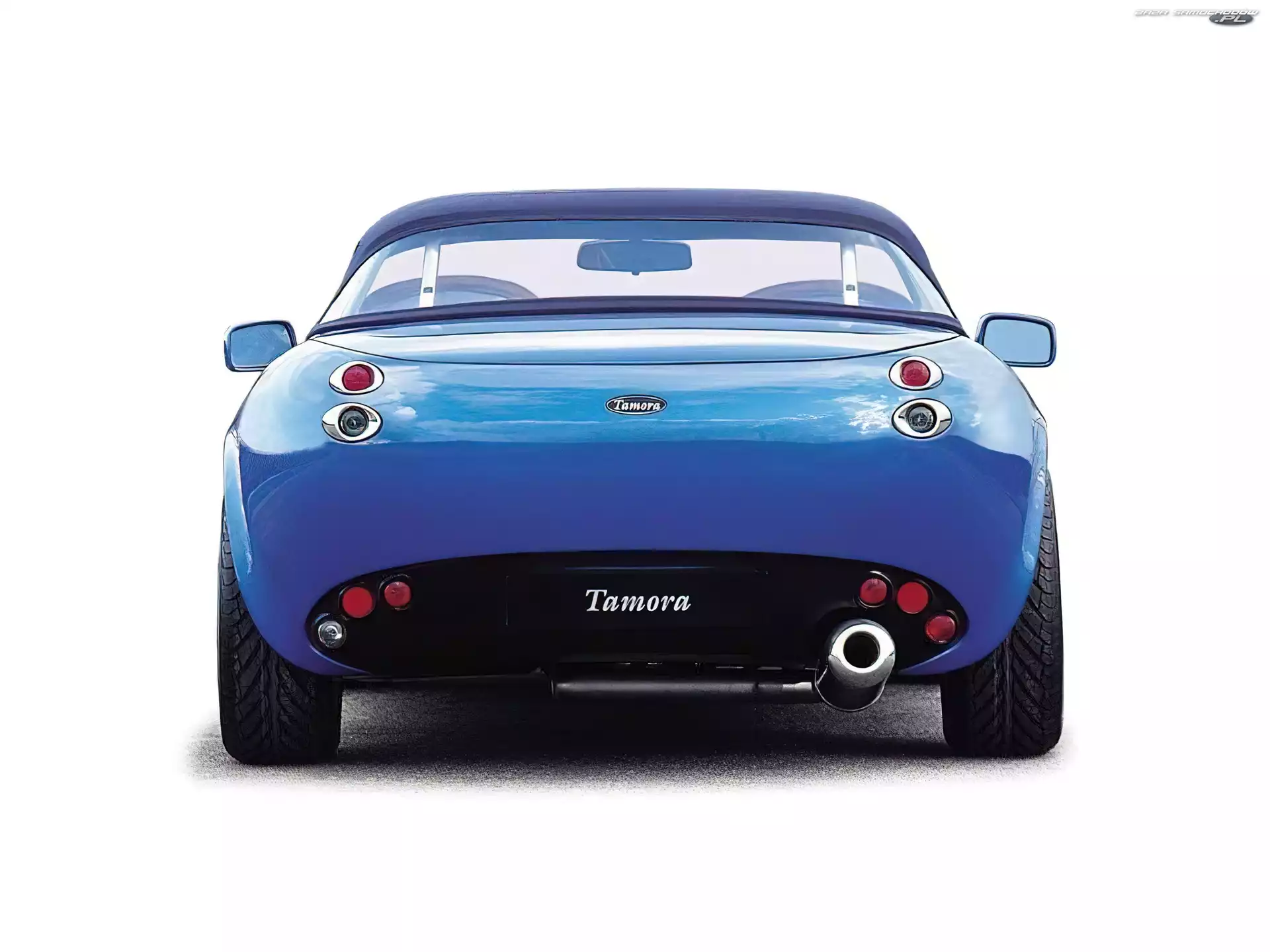 Tamora, TVR