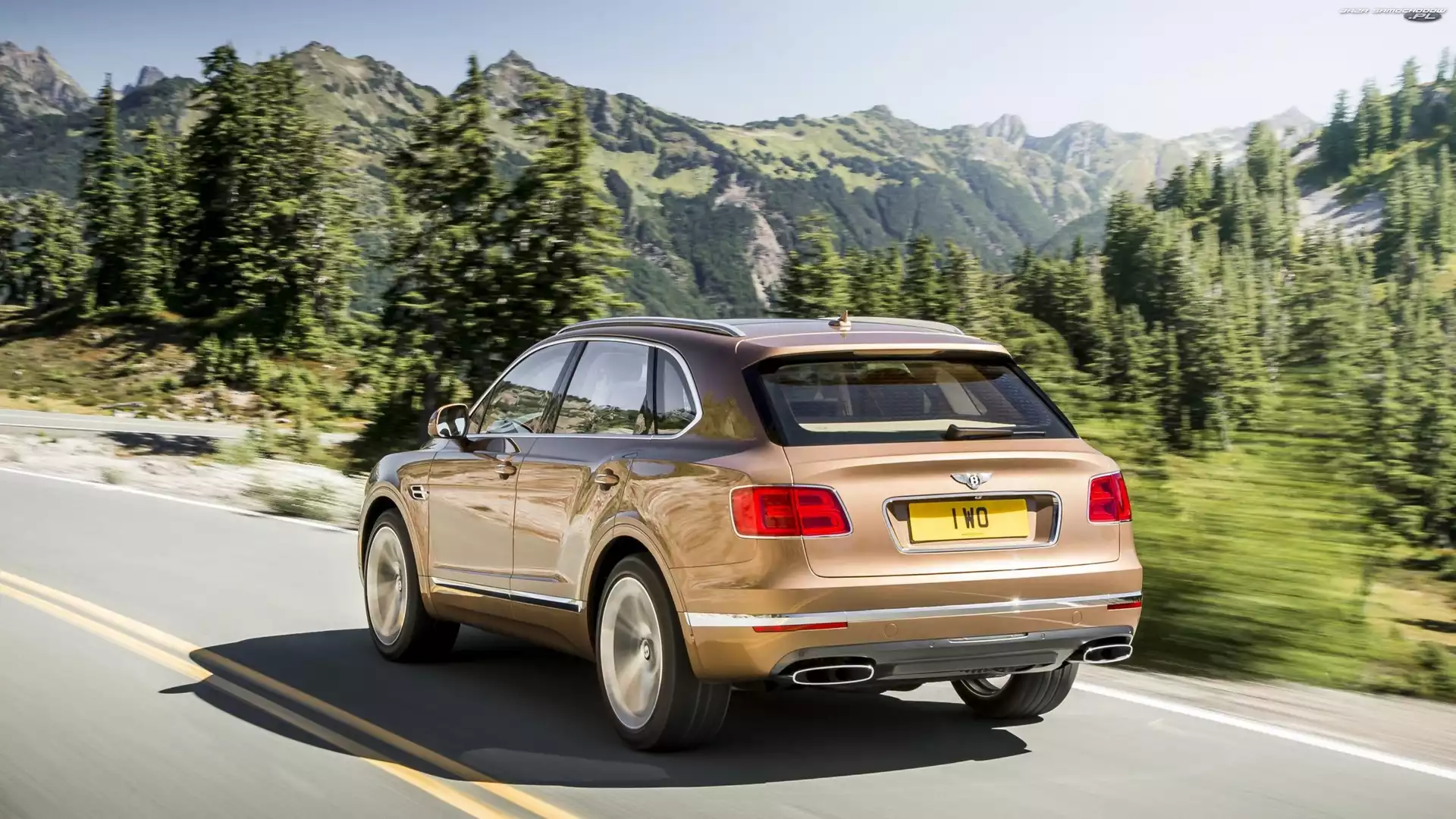 Tył, Góry, Bentley Bentayga, Droga