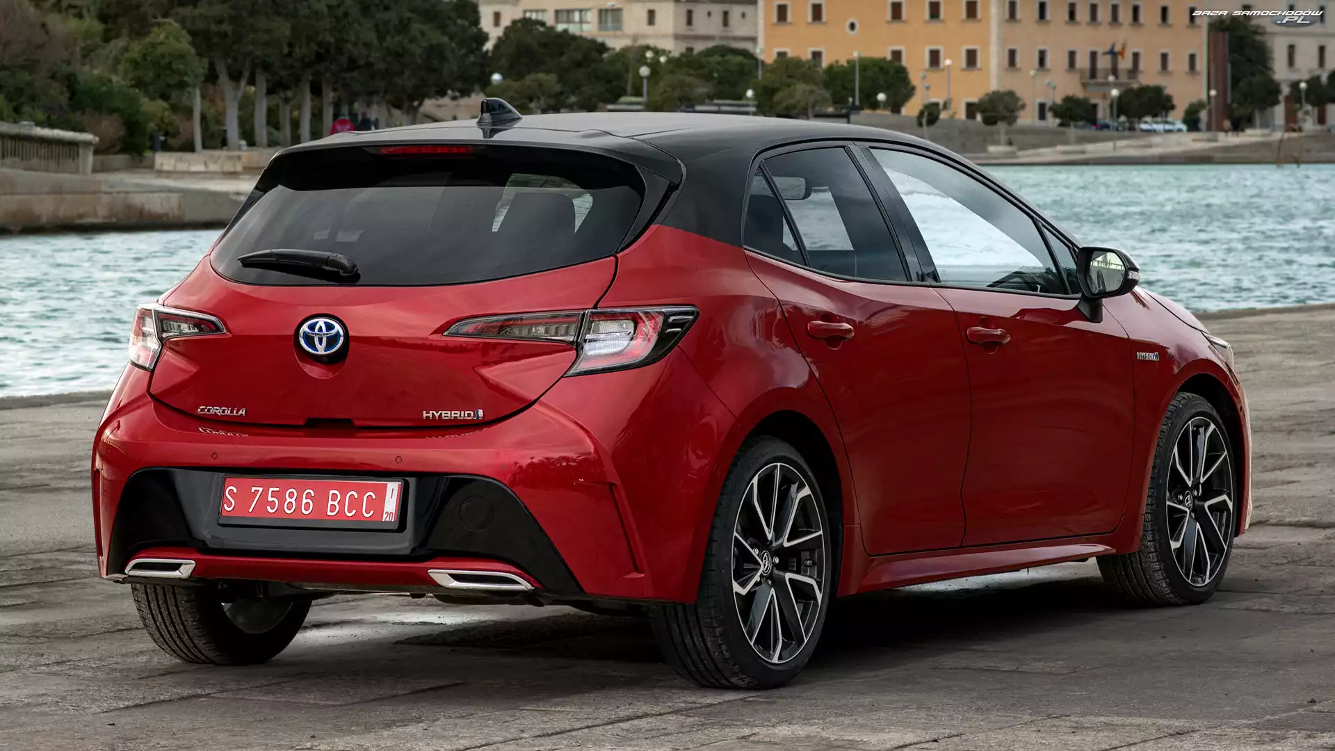 Tył, Toyota Corolla, Hatchback